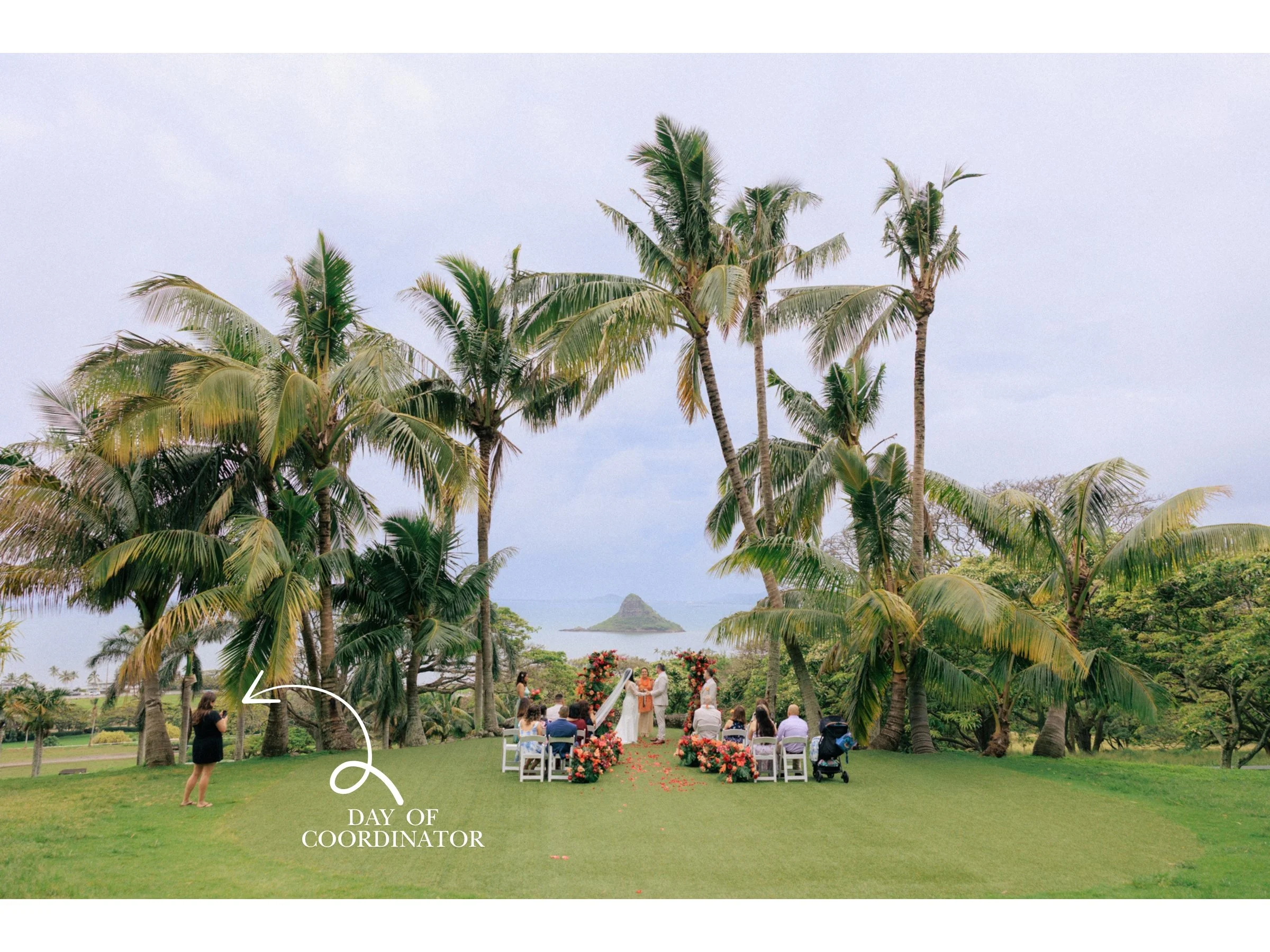 What Does a Kualoa Ranch Day Of Coordinator Do?