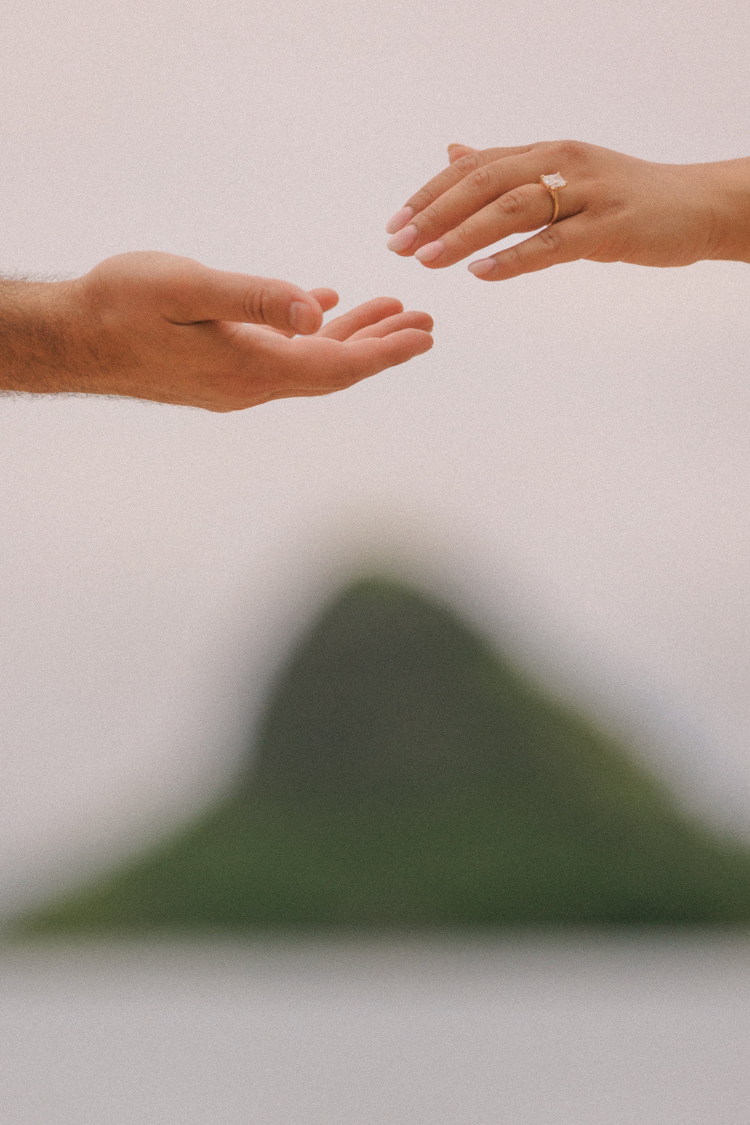 Surprise Proposal at Kualoa Regional Park | Adam &amp; Alexis