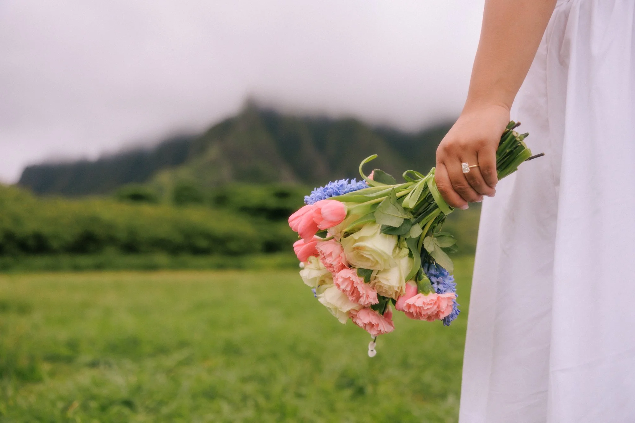 adam-alexis-kualoa-proposal-oahu-19.jpg
