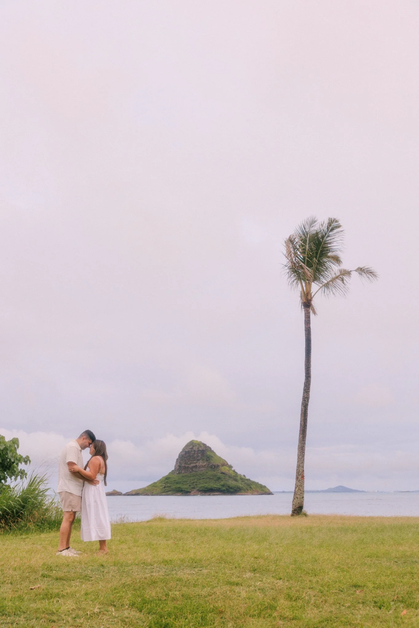 adam-alexis-kualoa-proposal-oahu-57.jpg