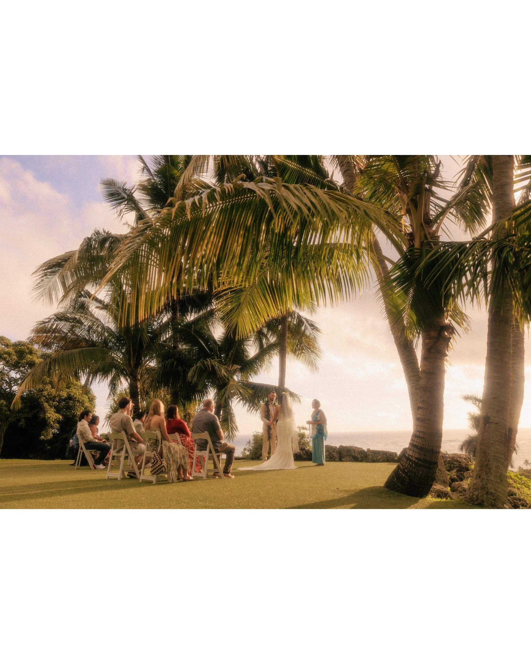 A wide view of Nicole and Ethan's small morning ceremony under palm trees at Paliku Gardens, Kualoa Ranch, with their closest family and friends seated on the lawn and the ocean glowing behind them on Oahu, Hawaii.