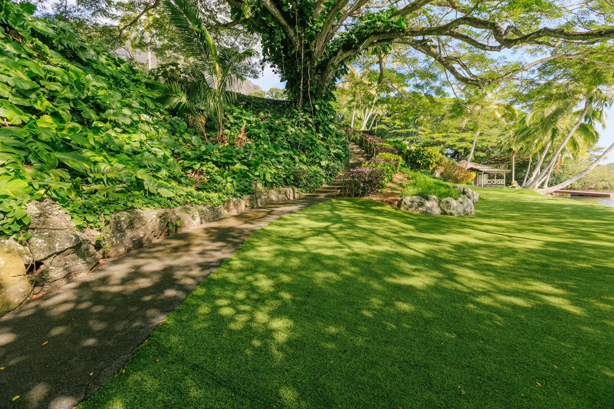 A lush green yard with a paved walkway, surrounded by dense tropical foliage and trees, with a small building and palm trees in the background, under a bright sunny sky.