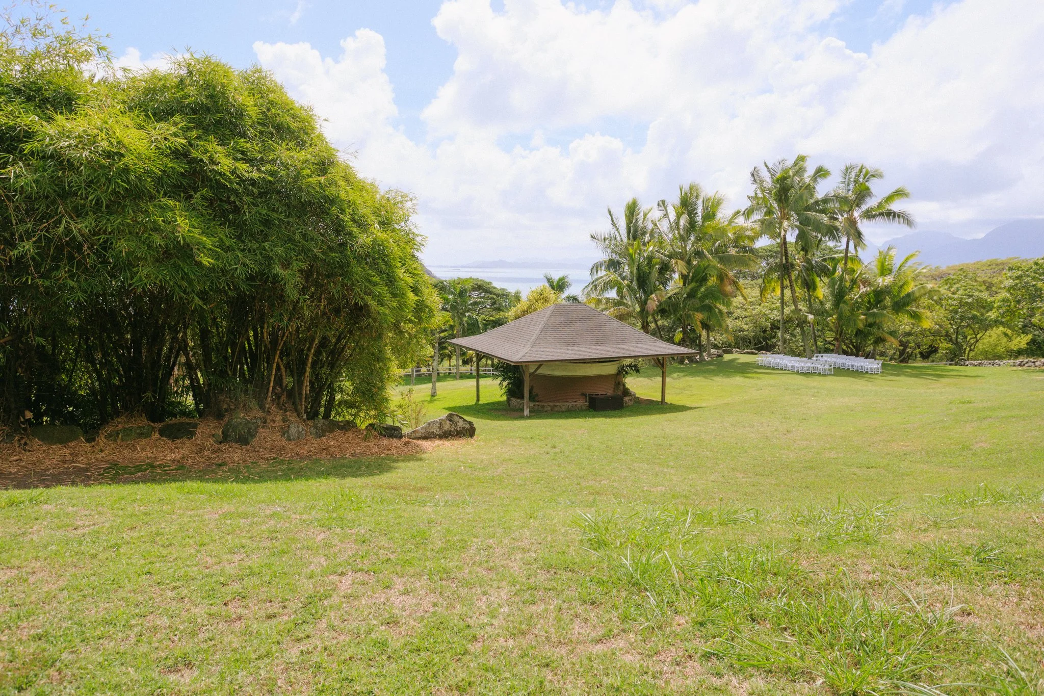 A lush green outdoor area with a small pavilion, a large tree on the left, a line of palm trees on the right, and a backdrop of distant mountains and a partly cloudy sky.