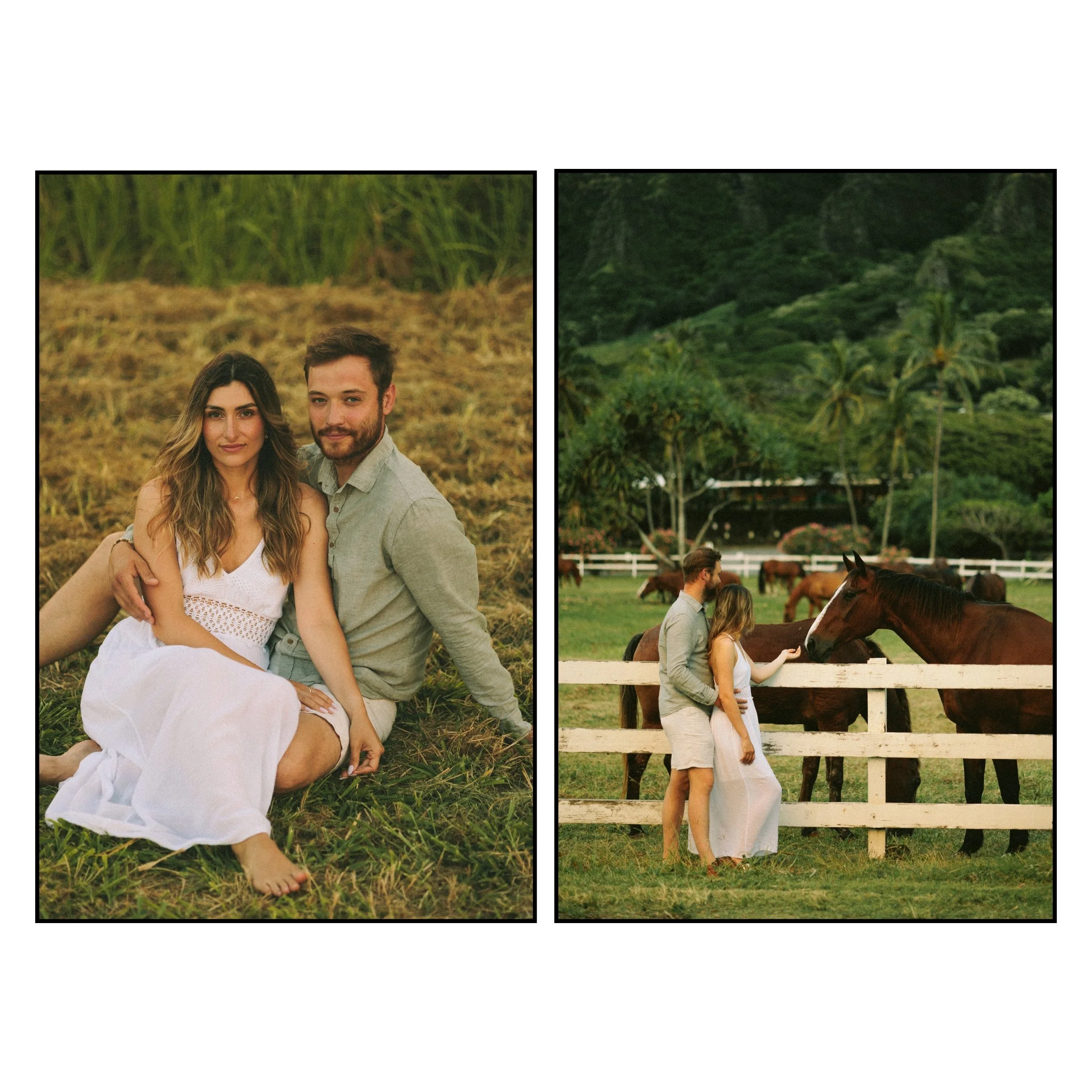 Cinematic couples portraits at Kualoa Regional Park with the couple relaxing in the grass and visiting horses nearby.