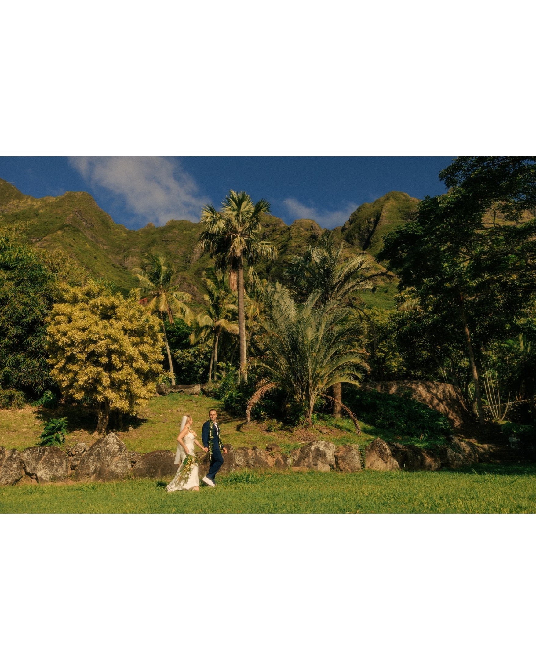 morning-elopement-paliku-gardens-kualoa-ranch-7.jpg