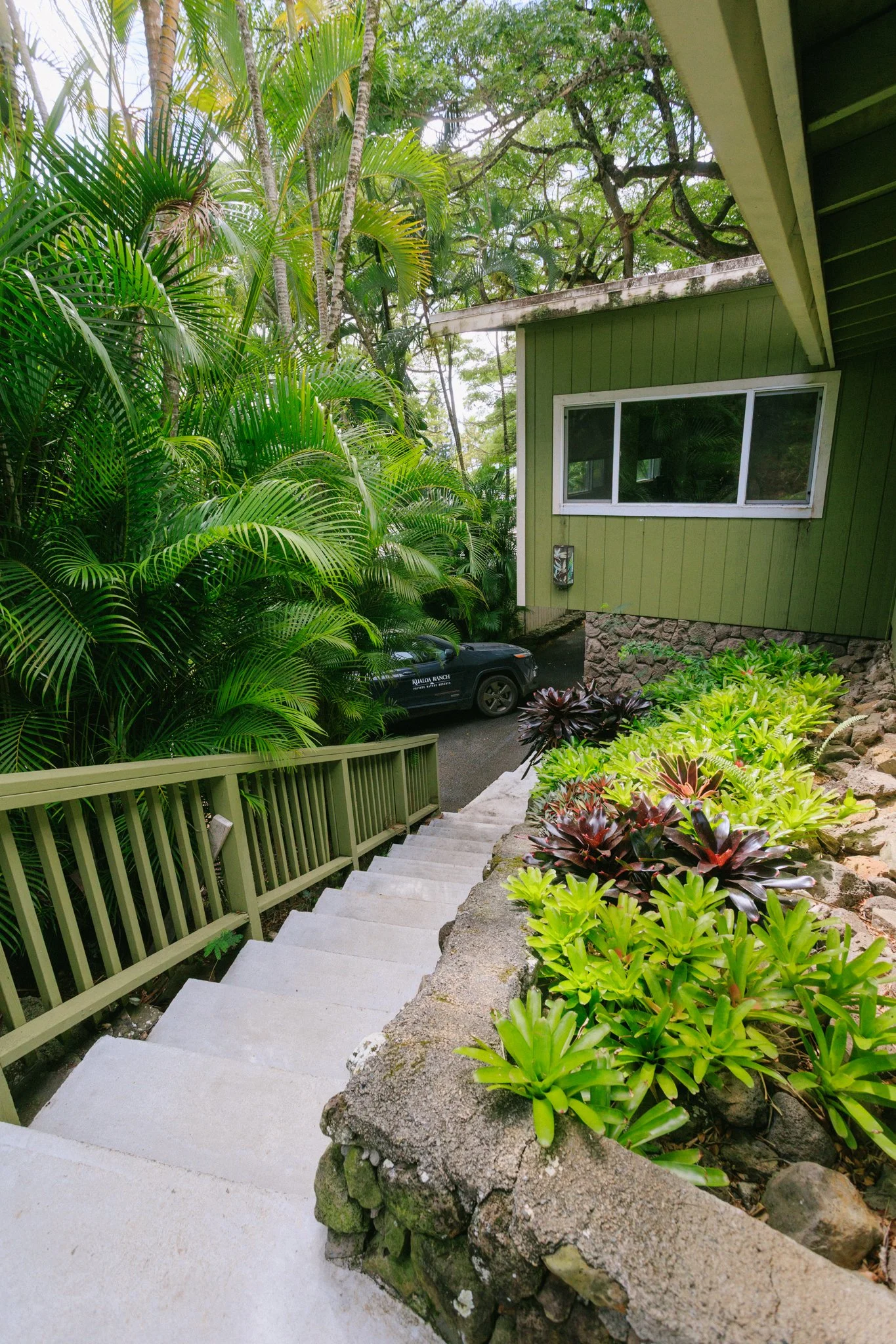 Concrete stairs with a green railing leading downhill, alongside lush green plants and trees surrounding a green house with a window, and a black car parked in the driveway.