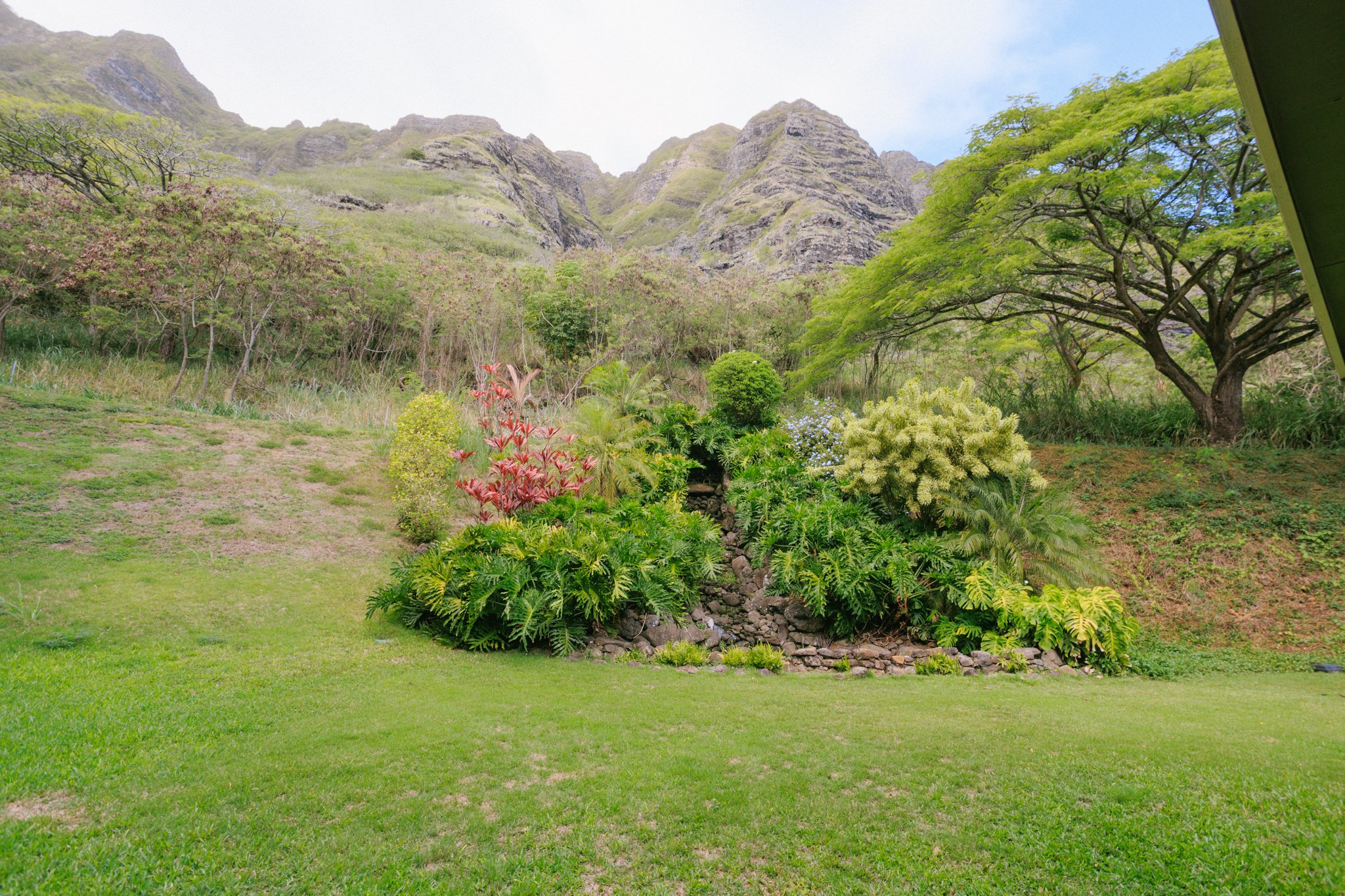 A lush green garden with a variety of plants and bushes, surrounded by trees and mountains in the background, blue sky with some clouds overhead.