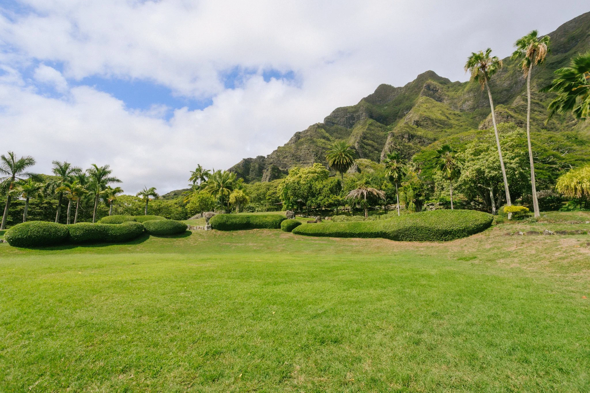 A scenic landscape with lush green grass, trimmed bushes, tall palm trees, and a mountain in the background under a partly cloudy sky.