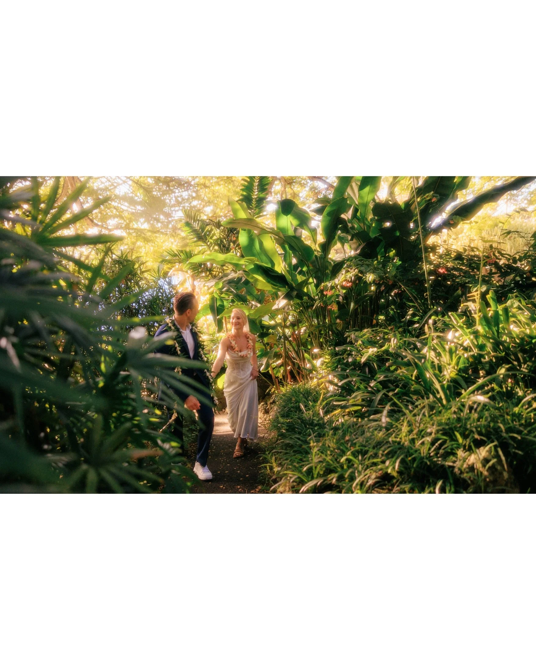 morning-elopement-paliku-gardens-kualoa-ranch-2.jpg