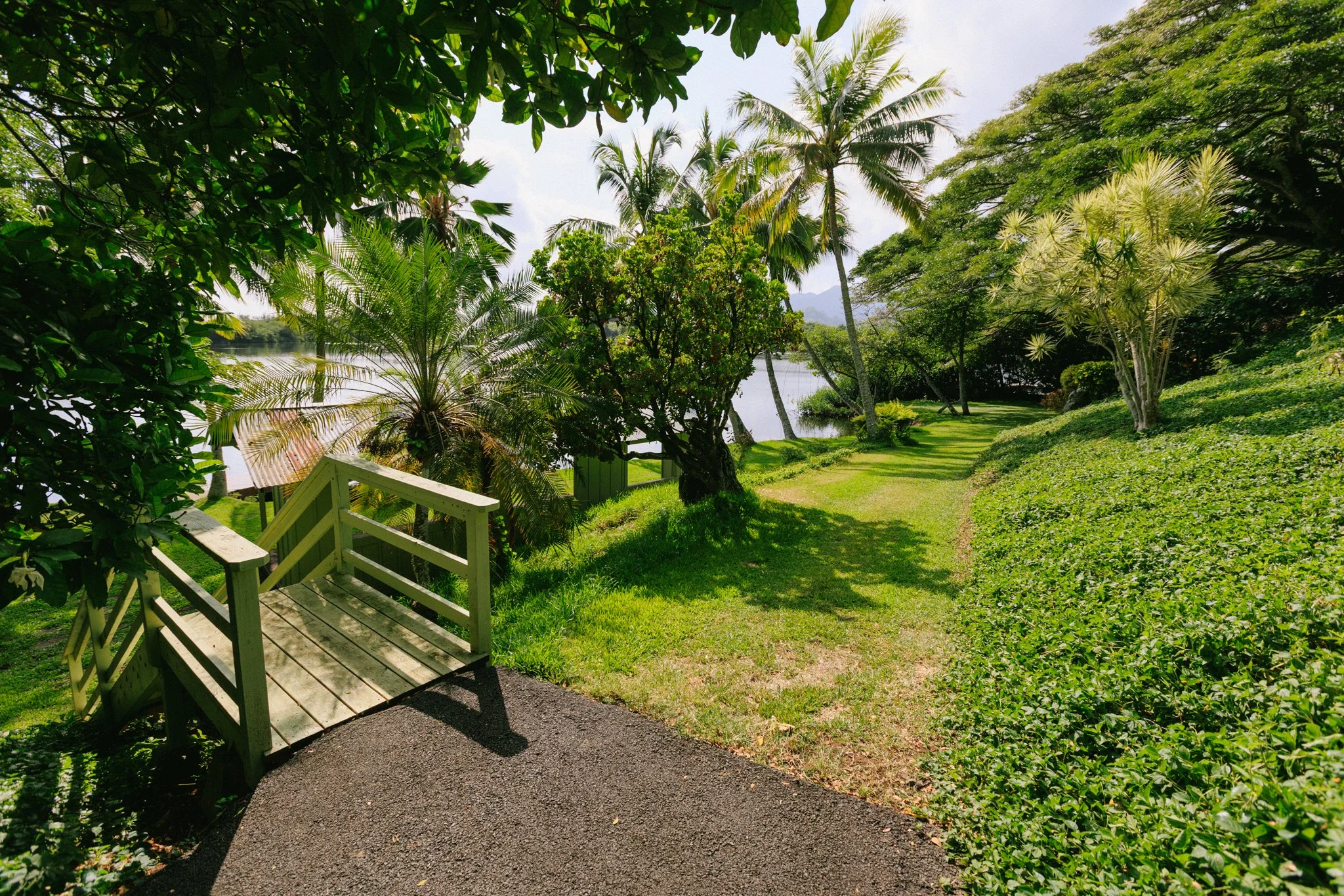 A lush green garden with a small wooden bridge, various trees, and a body of water in the background.