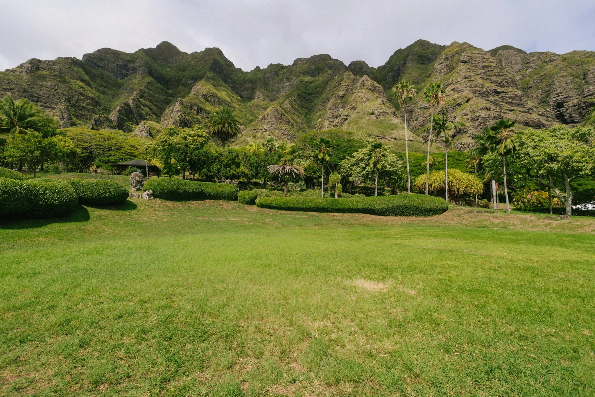 Lush green park with neatly trimmed bushes and palm trees in front of rugged mountain terrain with steep slopes and greenery.