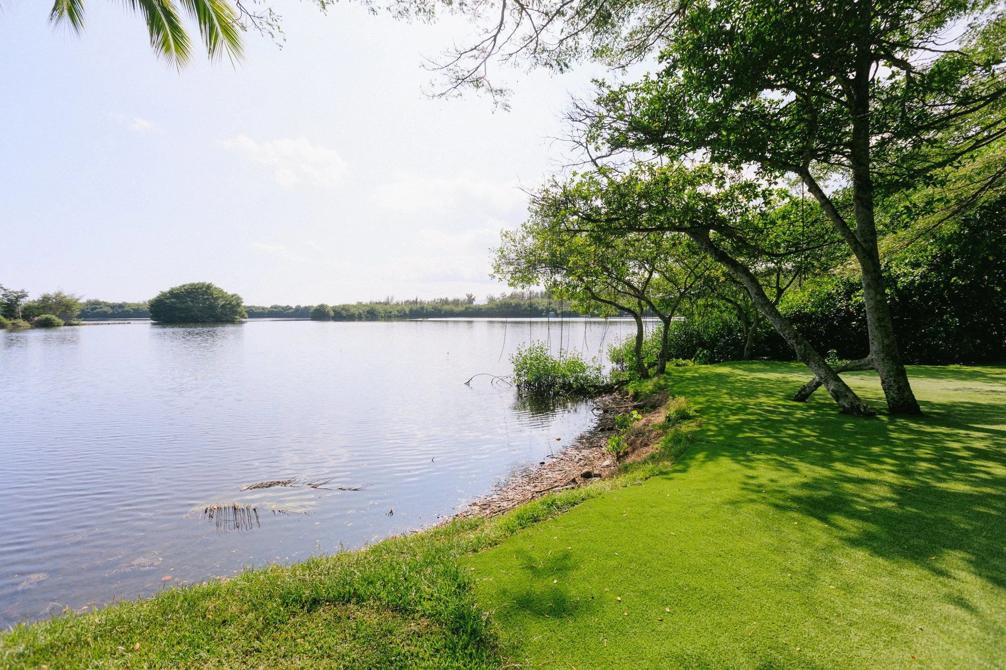A scenic view of a river with grassy shores and trees along the edge, under a bright sky with some clouds.