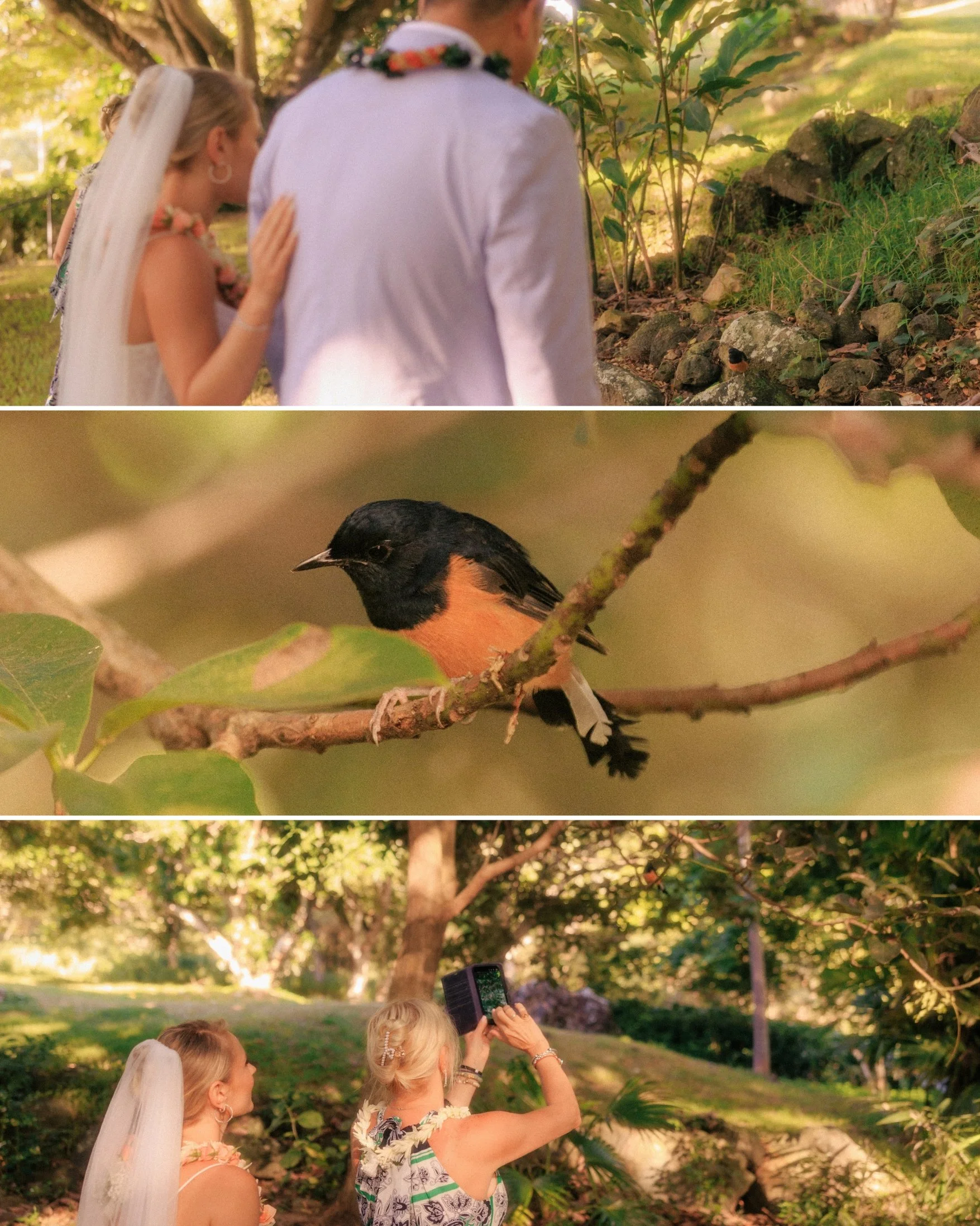 morning-elopement-paliku-gardens-kualoa-ranch-8.jpg