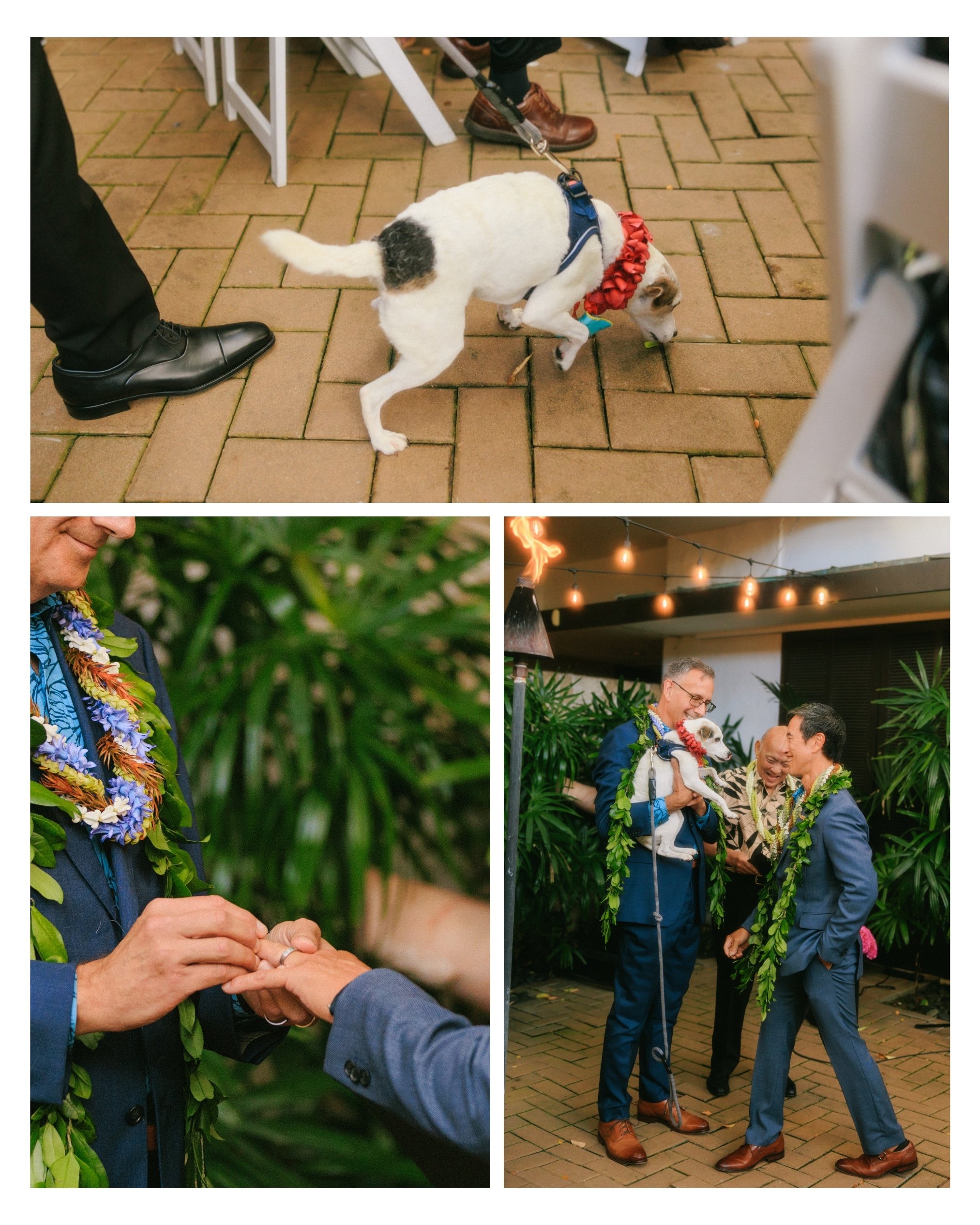 Emotional vow exchange during a same sex wedding ceremony at The Pacific Club in Honolulu, Hawaii. Intimate wedding photography captured by an Oahu wedding photographer.
