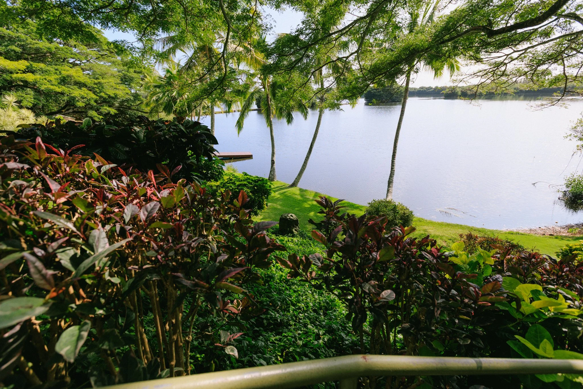 View of a lakeside with lush green foliage and trees, including palm trees, beside calm water under a bright blue sky.