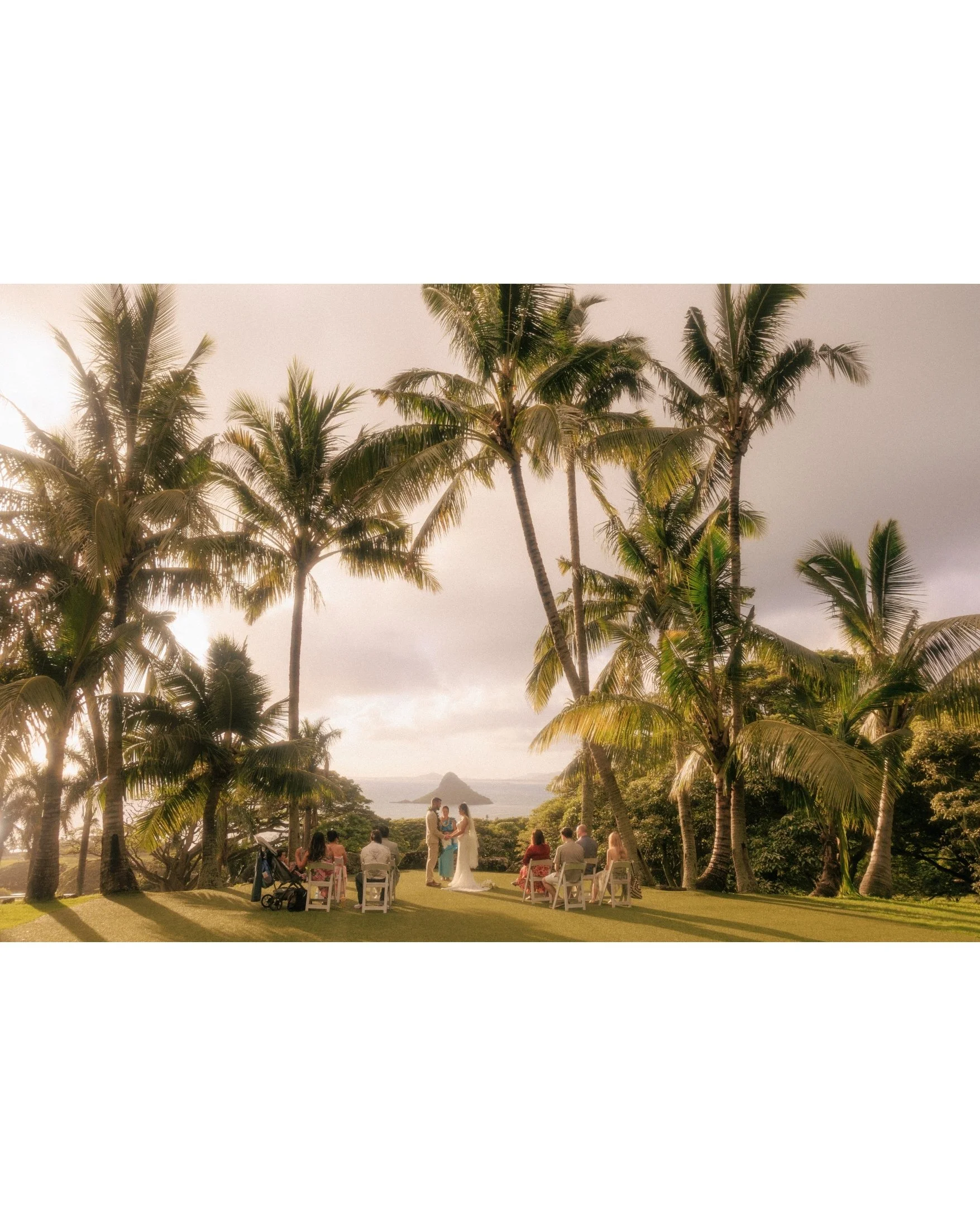 Tall palm trees frame Nicole and Ethan's distant ceremony and seated guests on the lawn at Paliku Gardens, Kualoa Ranch, in a wide documentary wedding photograph on Oahu, Hawaii.