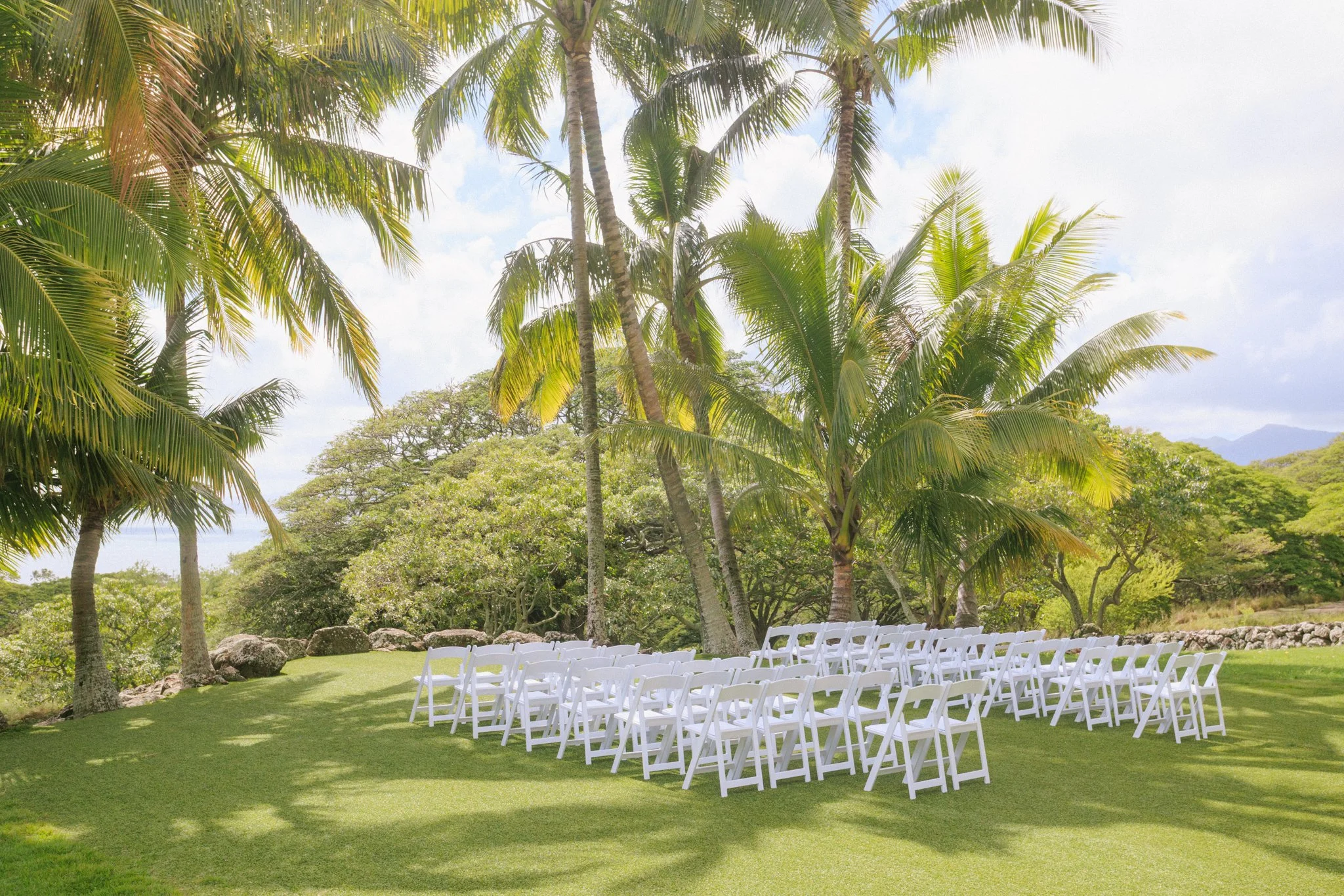 Outdoor wedding setup with white chairs arranged on a grassy area under palm trees.