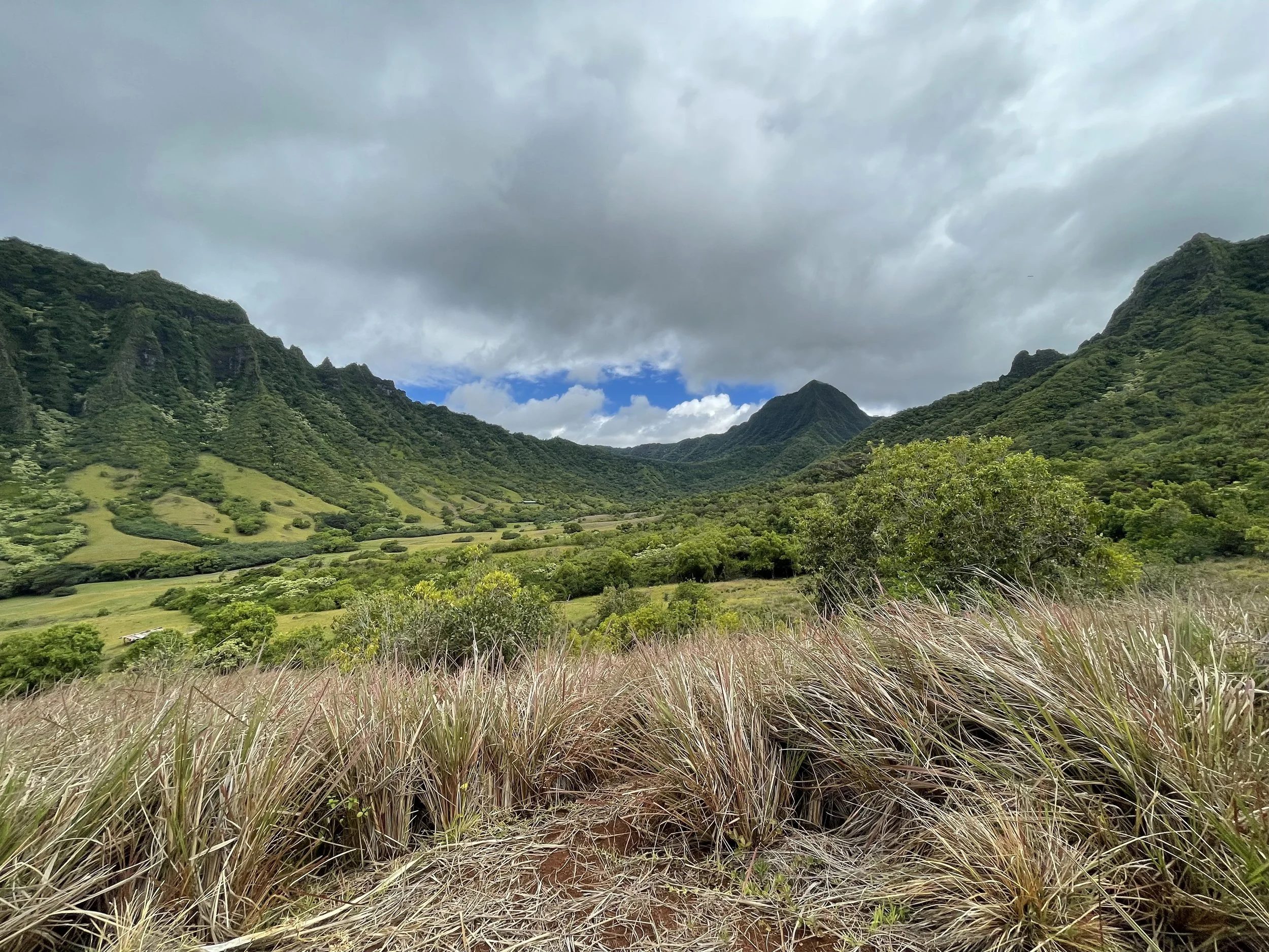 A scenic view of lush green mountains under a cloudy sky, with grass and small bushes in the foreground.