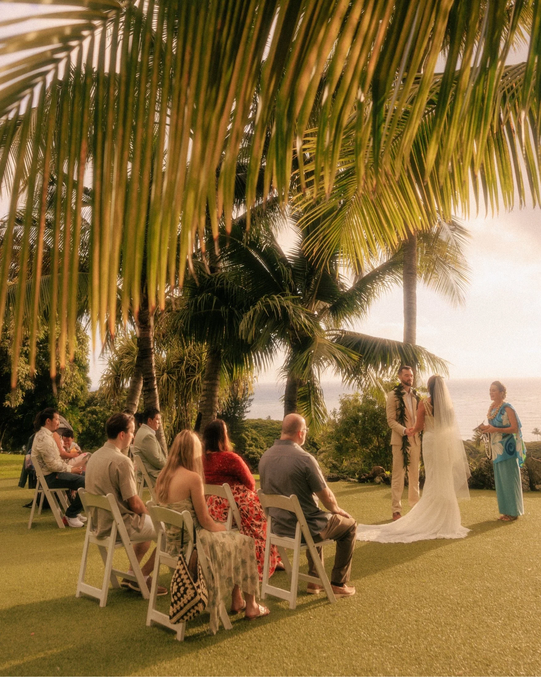 Guests sit in white chairs under hanging palm fronds and watch Nicole and Ethan face each other during their ceremony at Paliku Gardens, Kualoa Ranch, with the ocean behind them on Oahu, Hawaii.