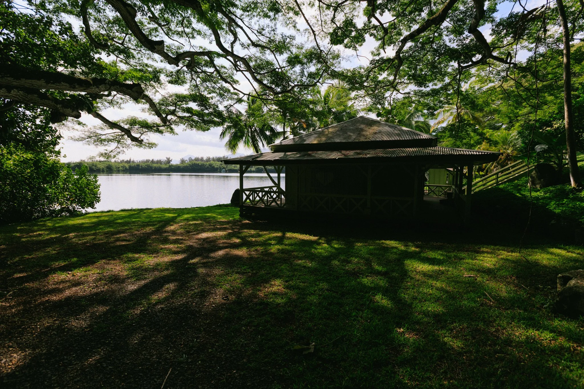 A small wooden house near a body of water, shaded by large trees with green leaves, on a sunny day.