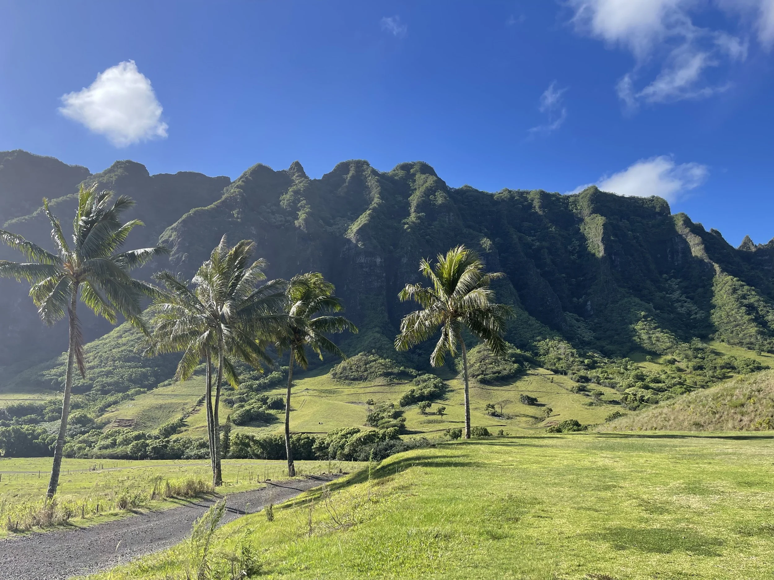 Lush green landscape with tall palm trees, rolling green hills, and towering green mountains under a bright blue sky with a few white clouds.
