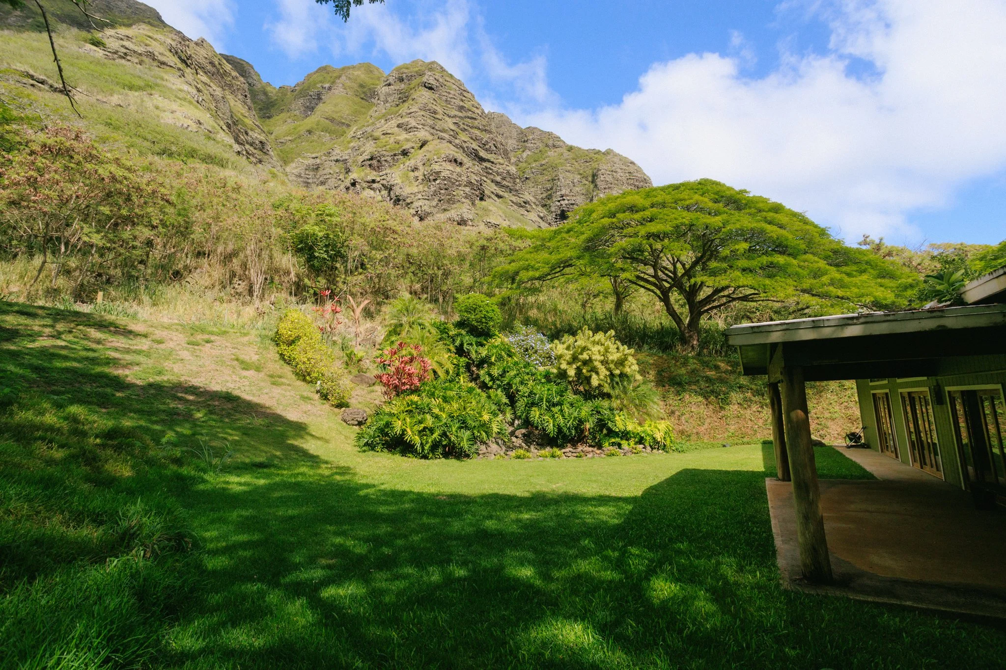 Lush green backyard with a large tree, various bushes, grass, a mountainous backdrop, and a building with a wooden roof on the right.