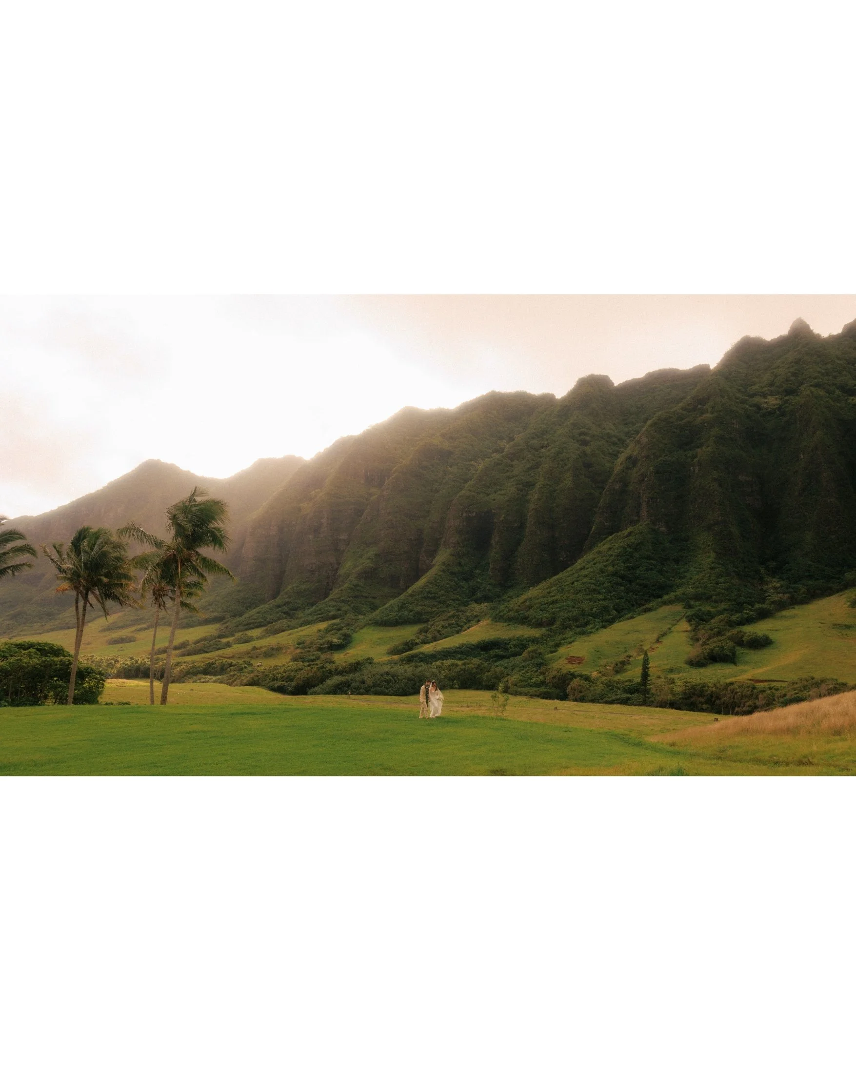 Nicole and Ethan stand tiny in the distance on a broad green lawn beneath the dramatic ridged Ko'olau mountains and palm trees at Kualoa Ranch on Oahu, Hawaii, in a cinematic wide elopement portrait.