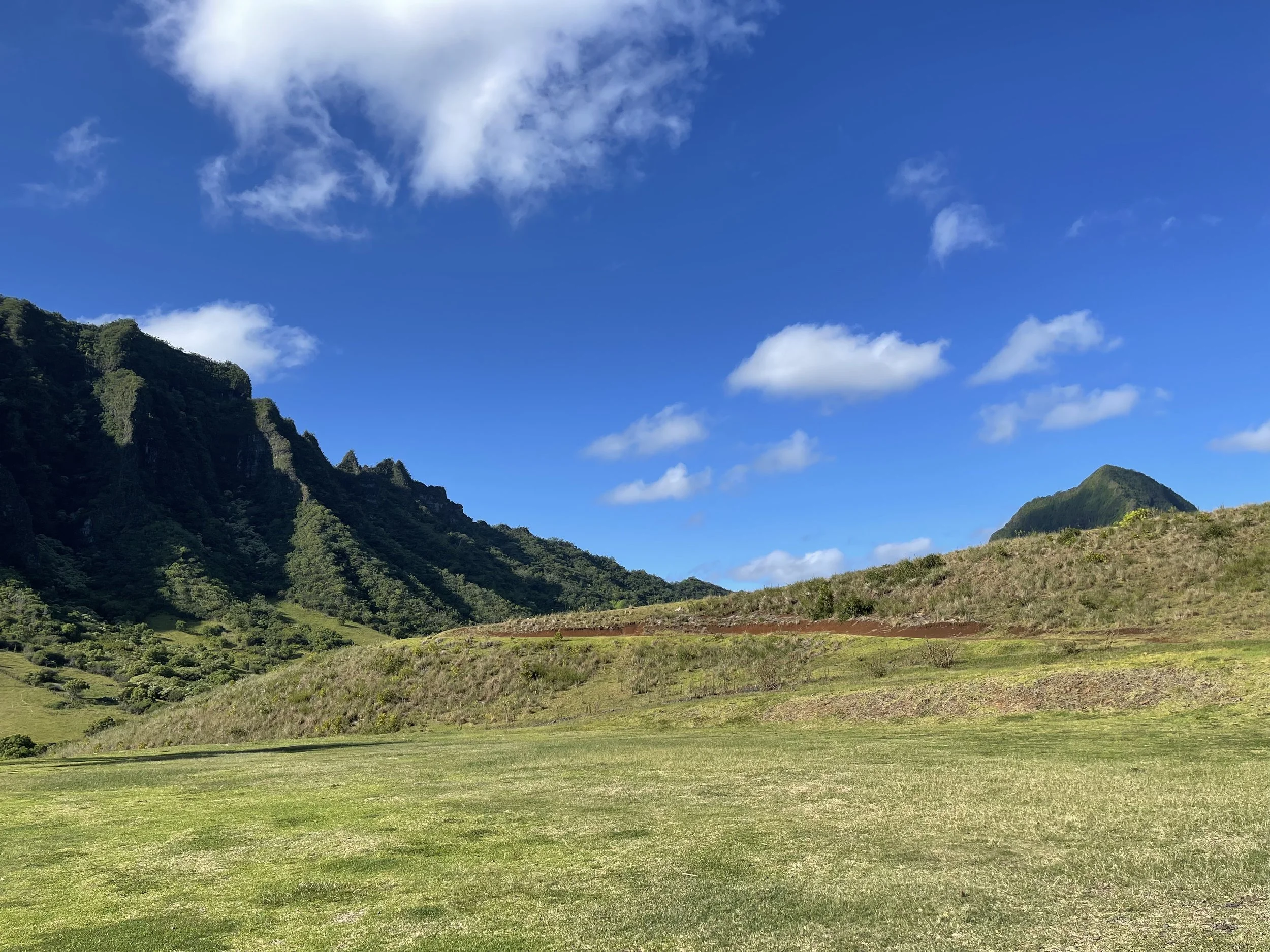 Green grassy field with a backdrop of lush green mountains under a bright blue sky with scattered white clouds.