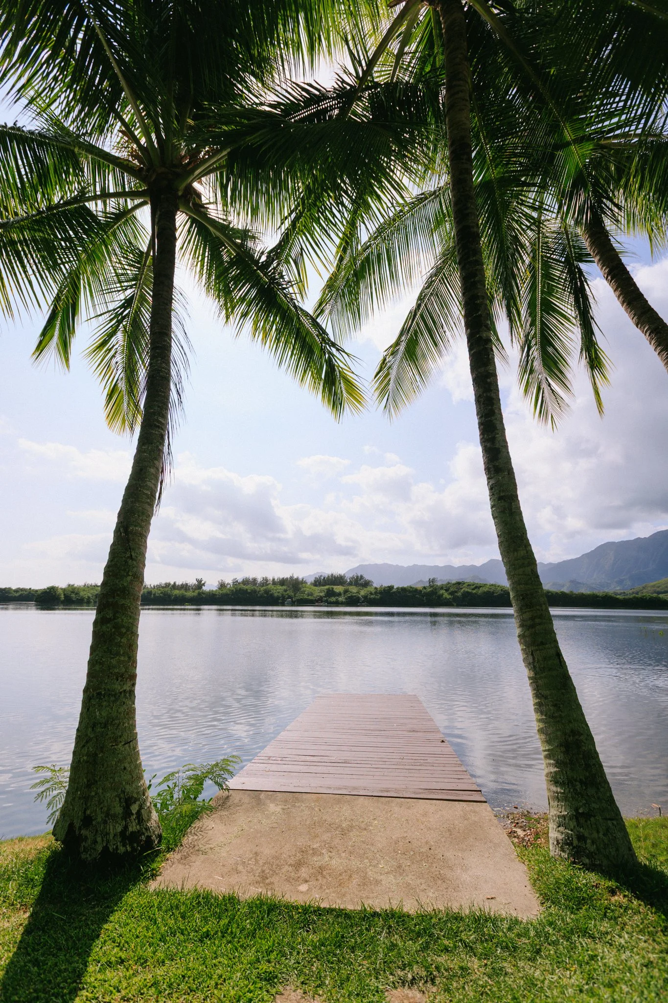 View of a small dock extending into a calm lake, framed by two palm trees, with green grass in the foreground and mountains in the background under a partly cloudy sky.