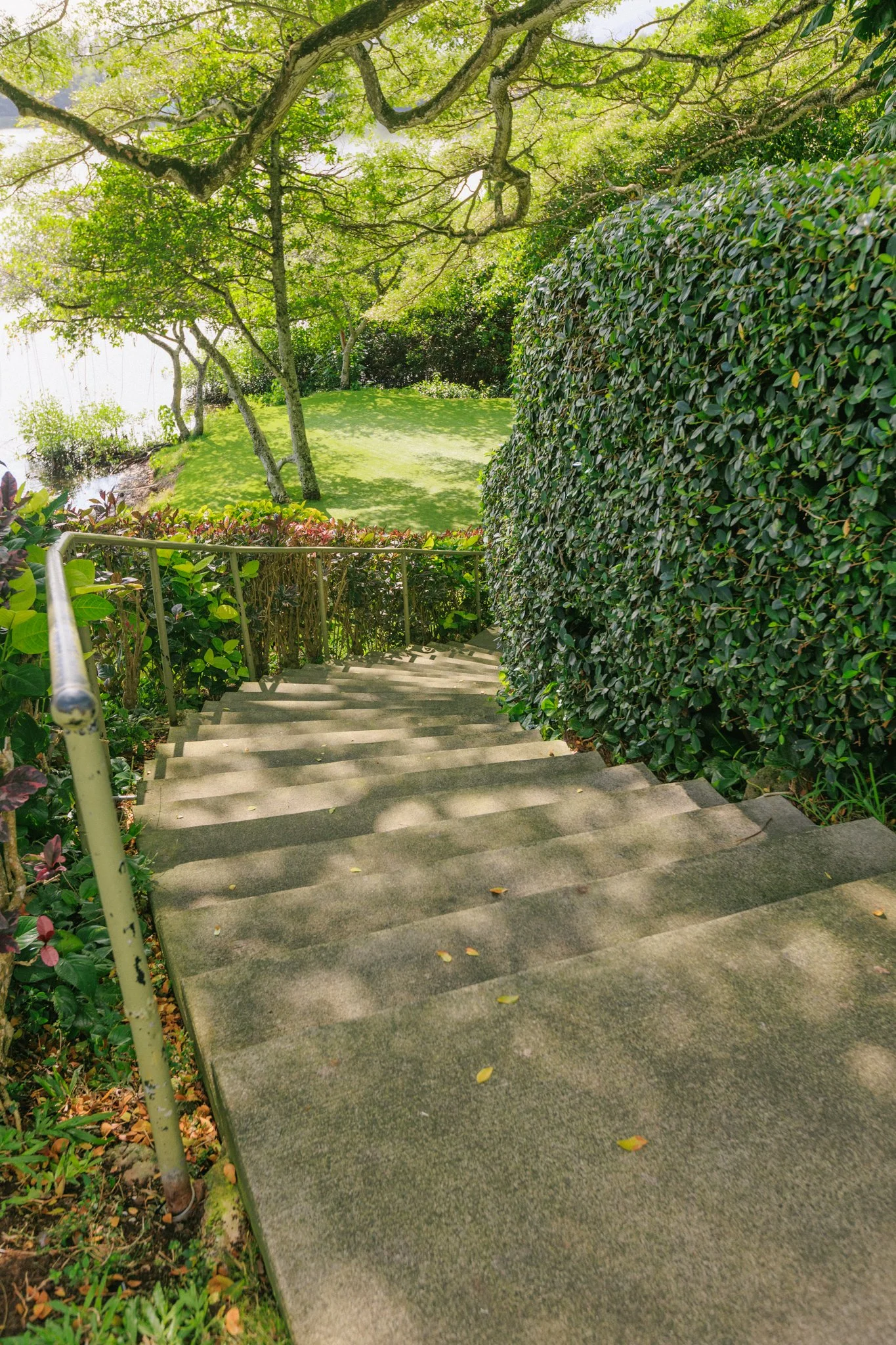 Concrete staircase with a metal handrail leading down to a grassy, shaded garden area with trees and bushes.