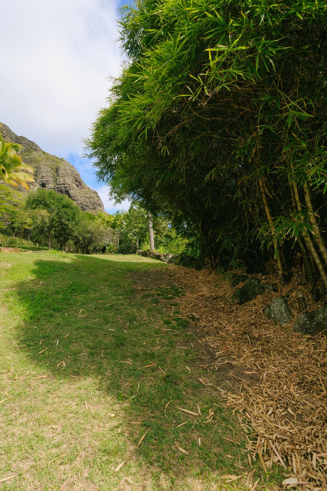 A scenic outdoor pathway lined with lush green vegetation and trees, with mountains in the background and a partly cloudy sky.
