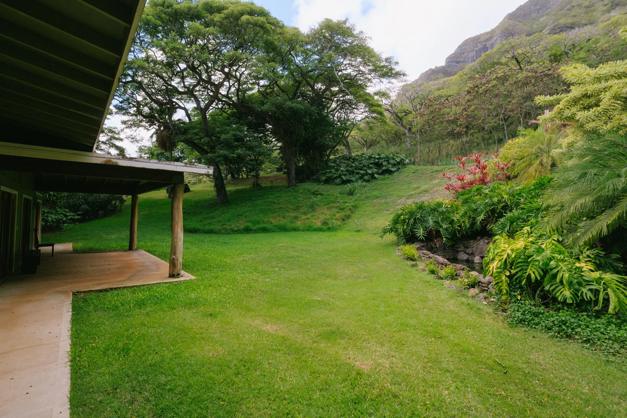 Lush green backyard with trees, plants, and mountains in the background, partially covered patio with wooden supports on the left.
