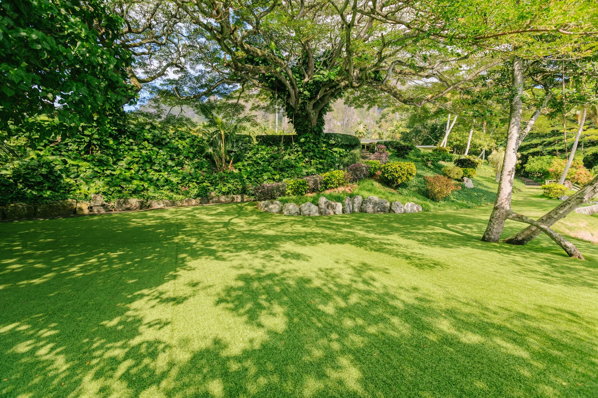 Lush green backyard with a large tree casting shadows on a well-manicured lawn, surrounded by shrubs and bushes, with additional trees and garden features in the background.