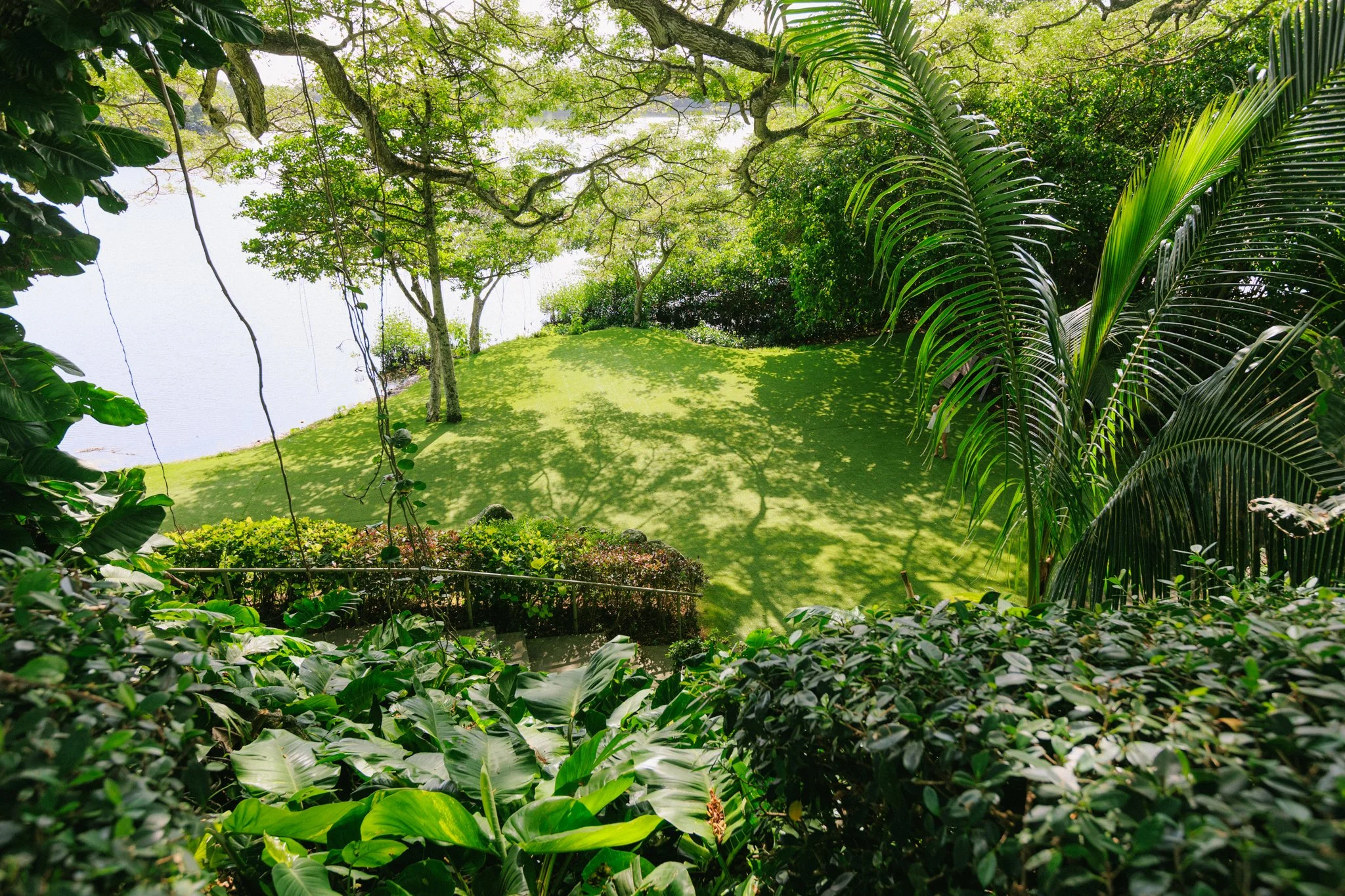 Lush green garden with trees, shrubs, and a body of water in the background, with dappled sunlight filtering through the foliage.
