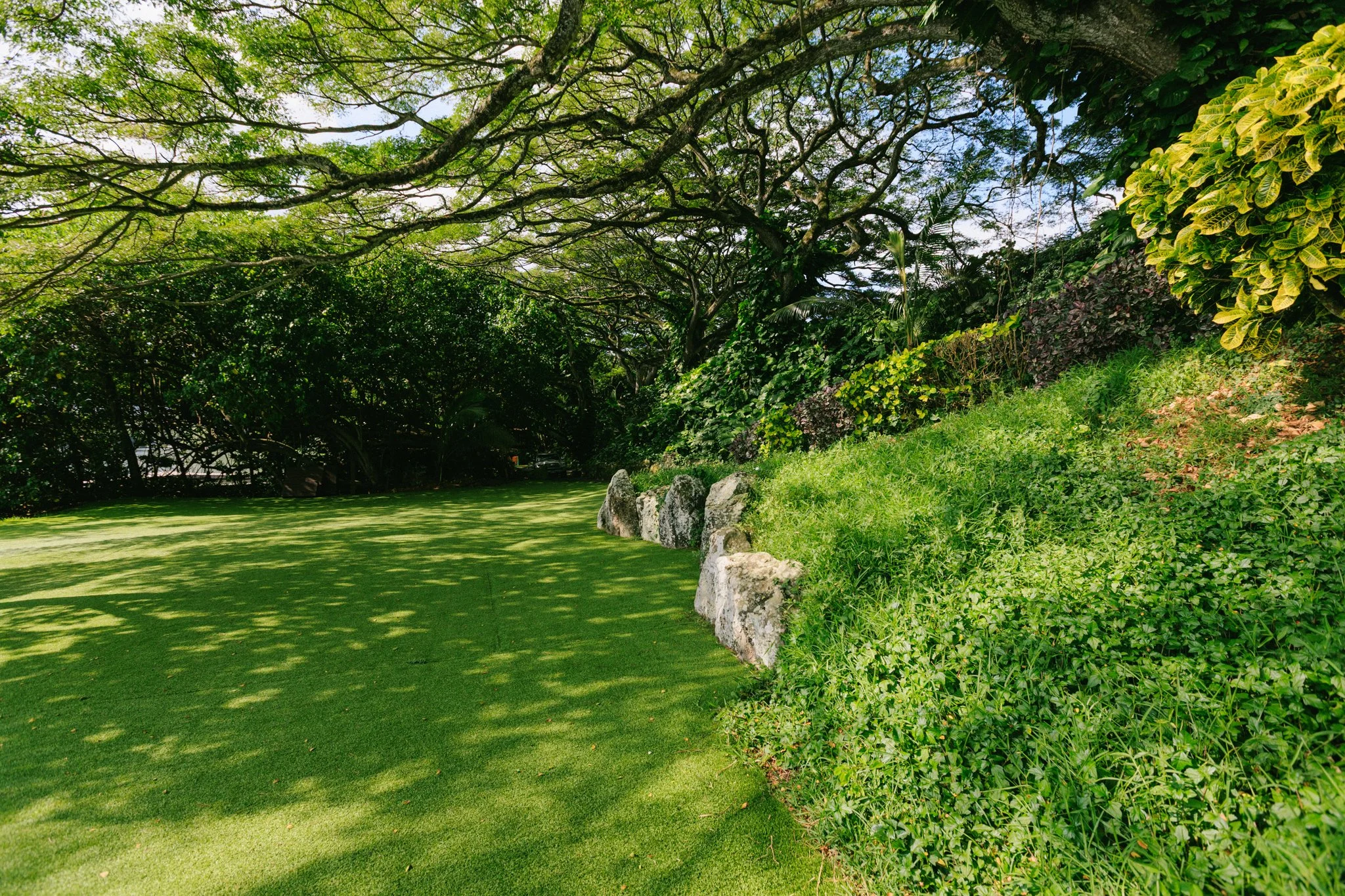 A lush green backyard with a well-maintained lawn, large rocks along the edge of a sloped grassy area, and trees with sprawling branches providing shade.