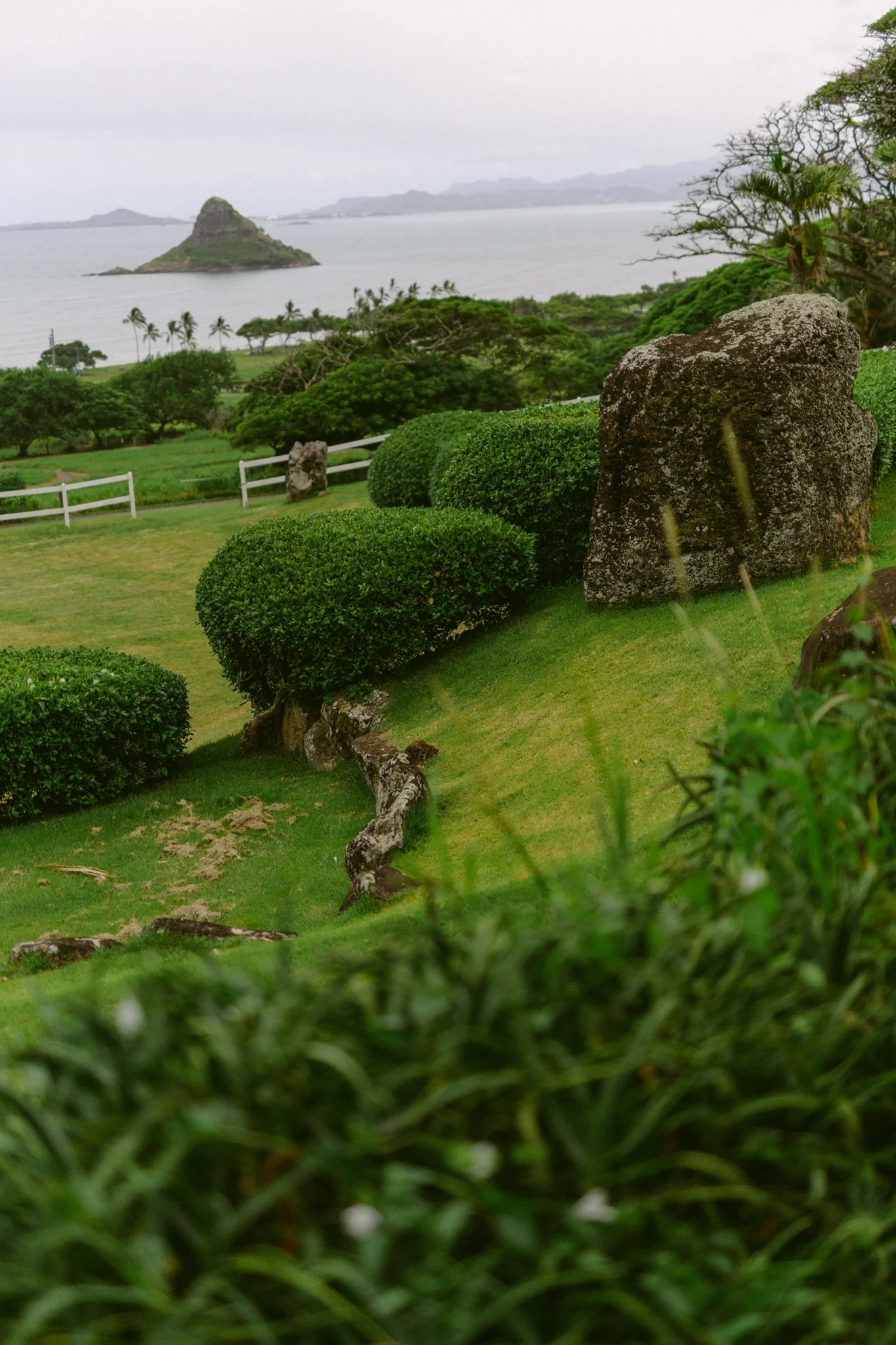 Paliku_Gardens_Wedding-21.jpg
