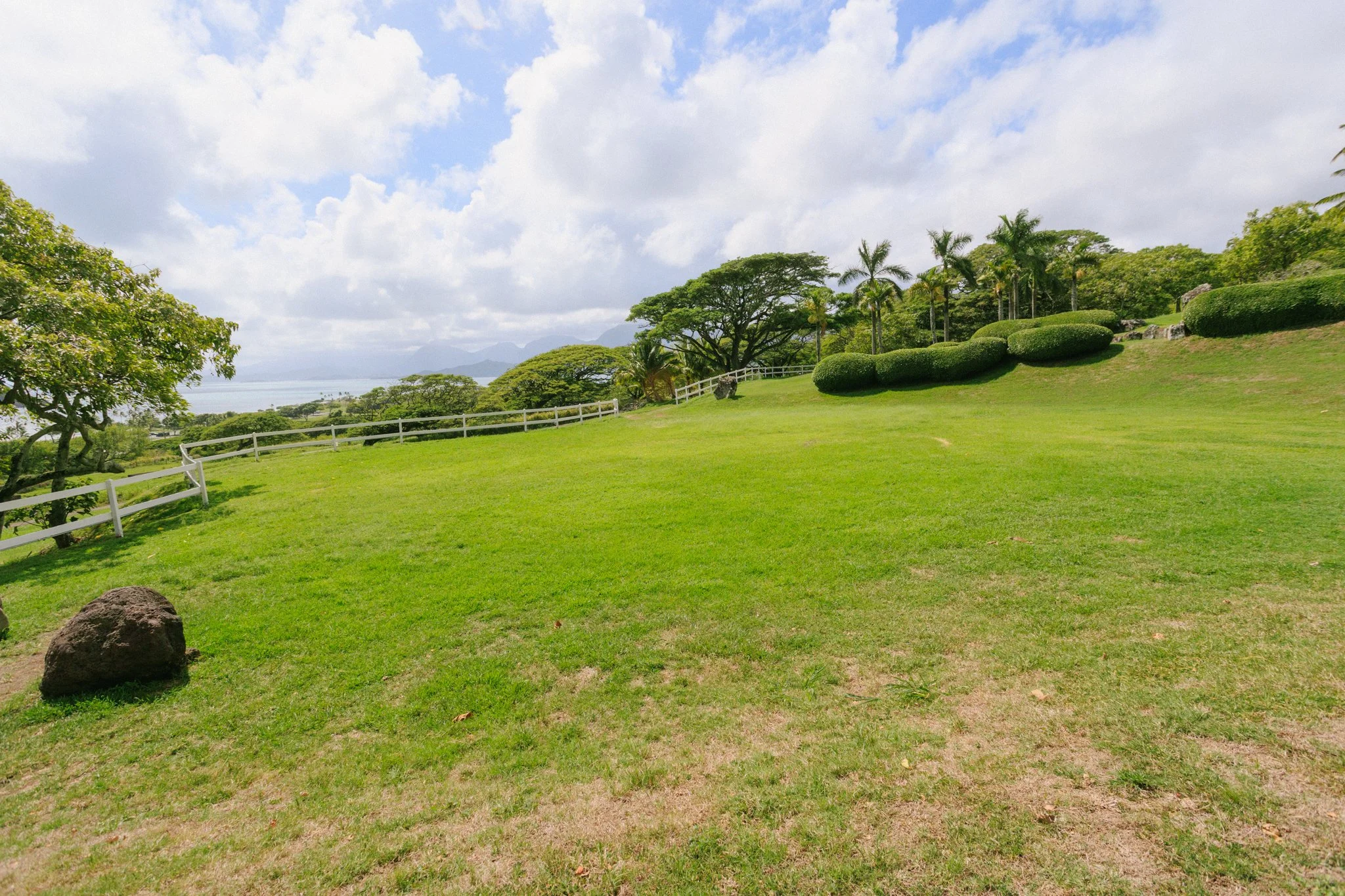 A lush green landscape with a grassy field, bushes, trees, and a white fence under a partly cloudy sky.