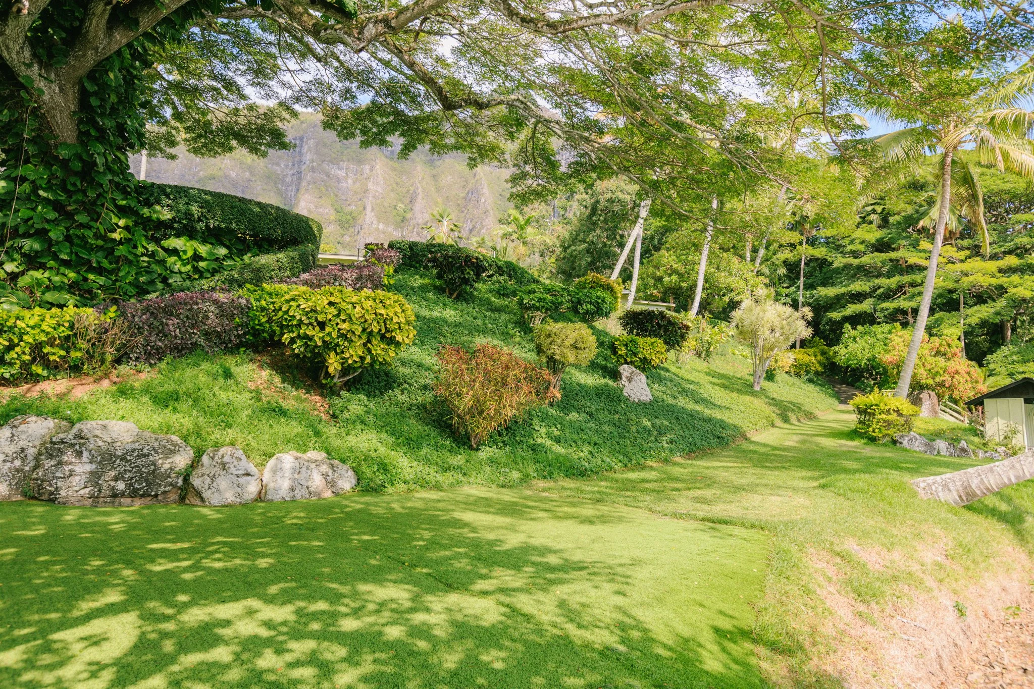 Lush tropical garden on a sunny day with green grass, various bushes, and tall palm trees, overlooking distant mountains.