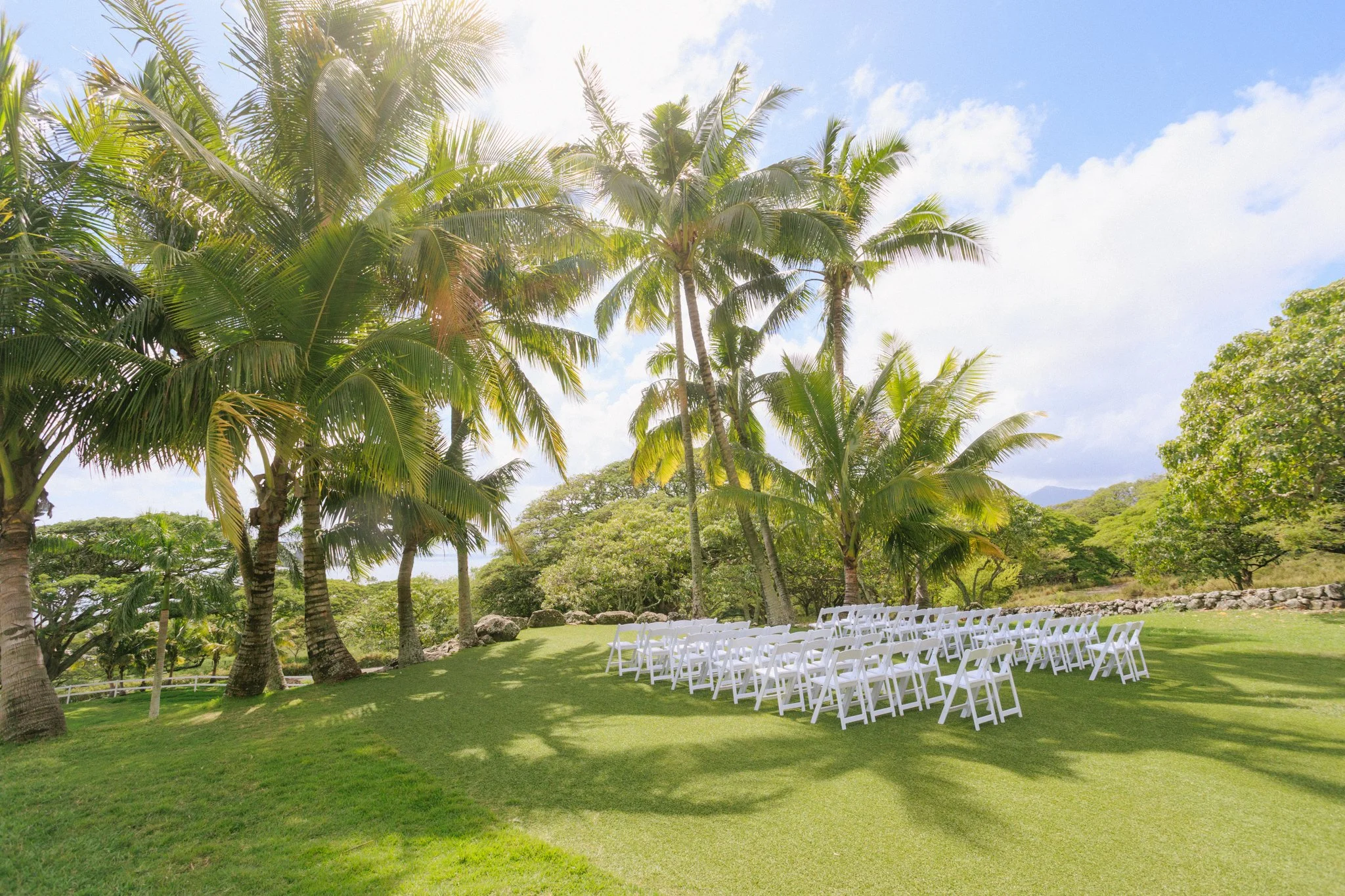 Outdoor wedding setup with white chairs on a grassy lawn under palm trees on a sunny day.