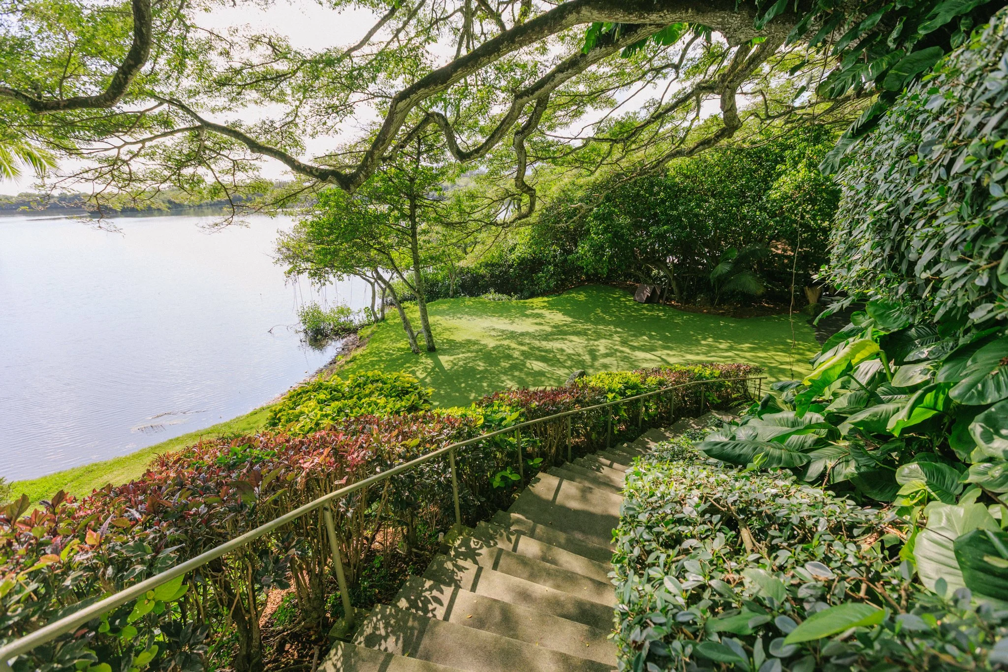A scenic view of a lakeside garden with a staircase leading down to a grassy area surrounded by lush green trees and bushes, with the lake visible in the background.