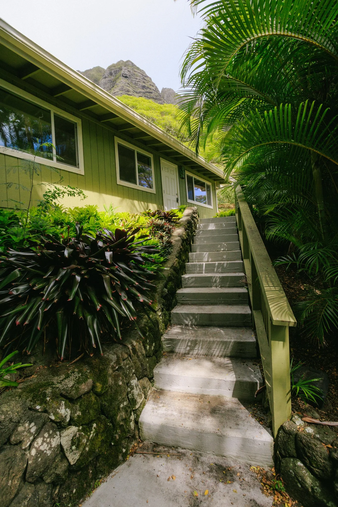 Concrete stairs leading to a green house with large windows, surrounded by lush tropical plants and trees, with mountains in the background.