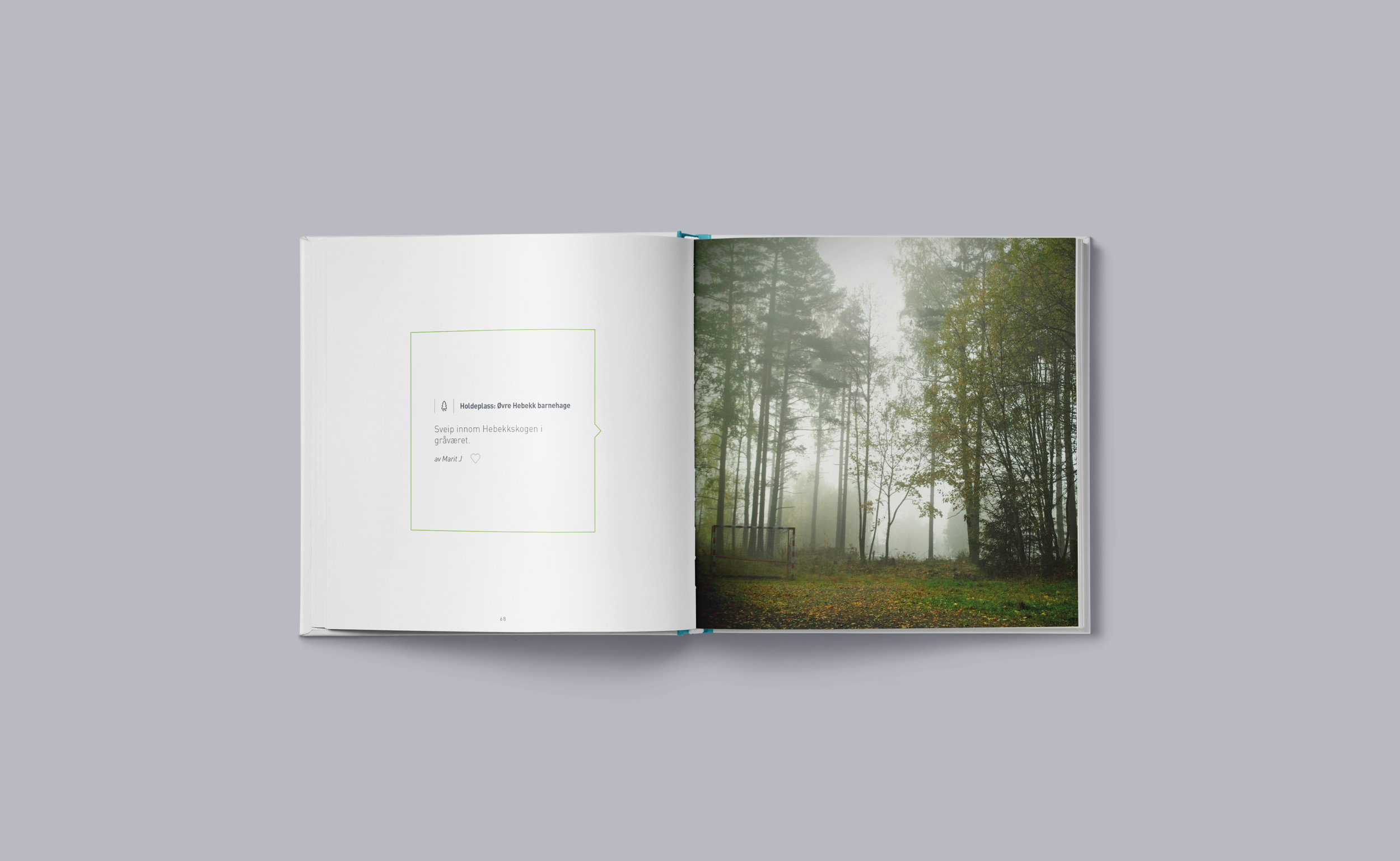 4000_Bok20.jpg