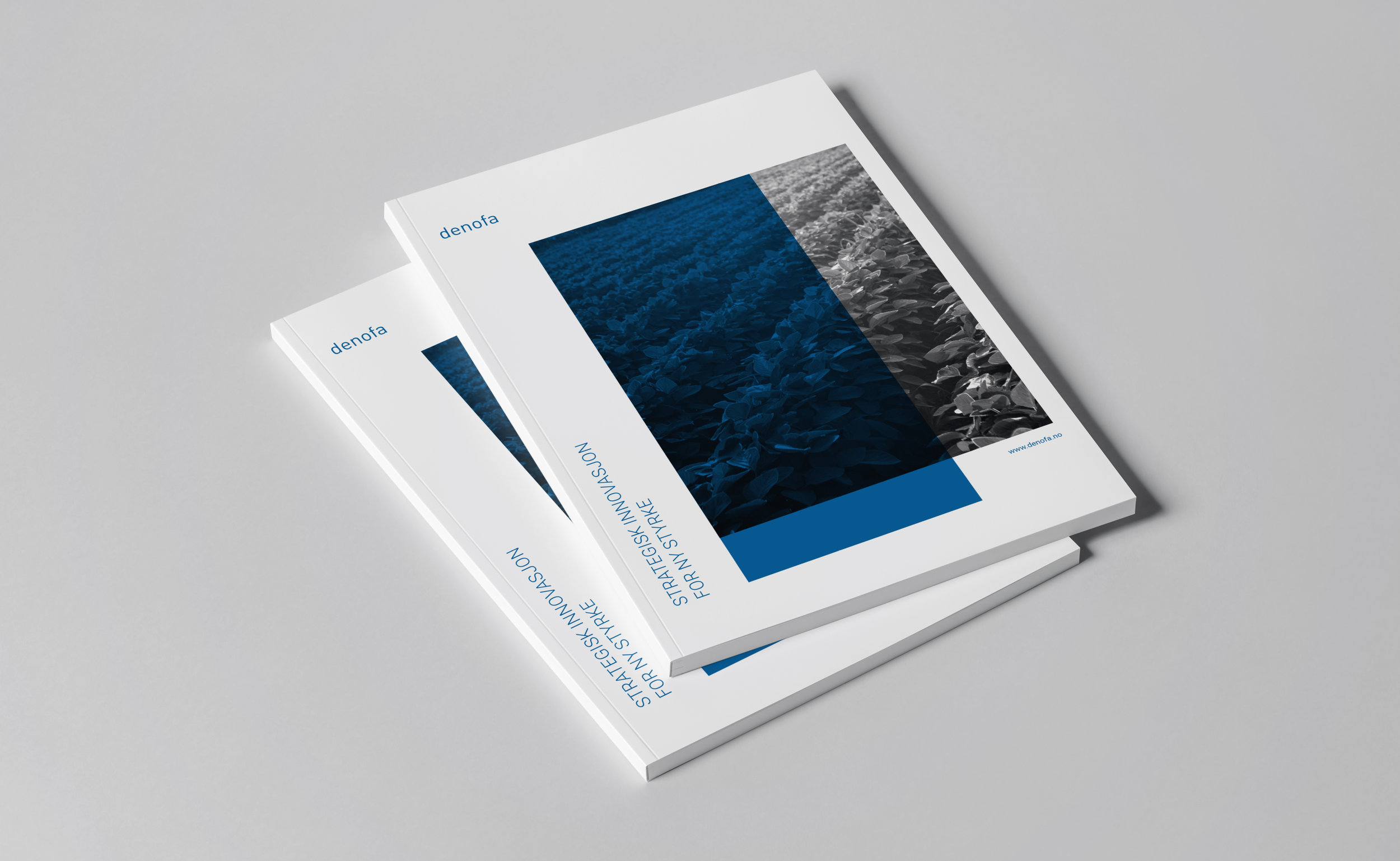 Editorial Design