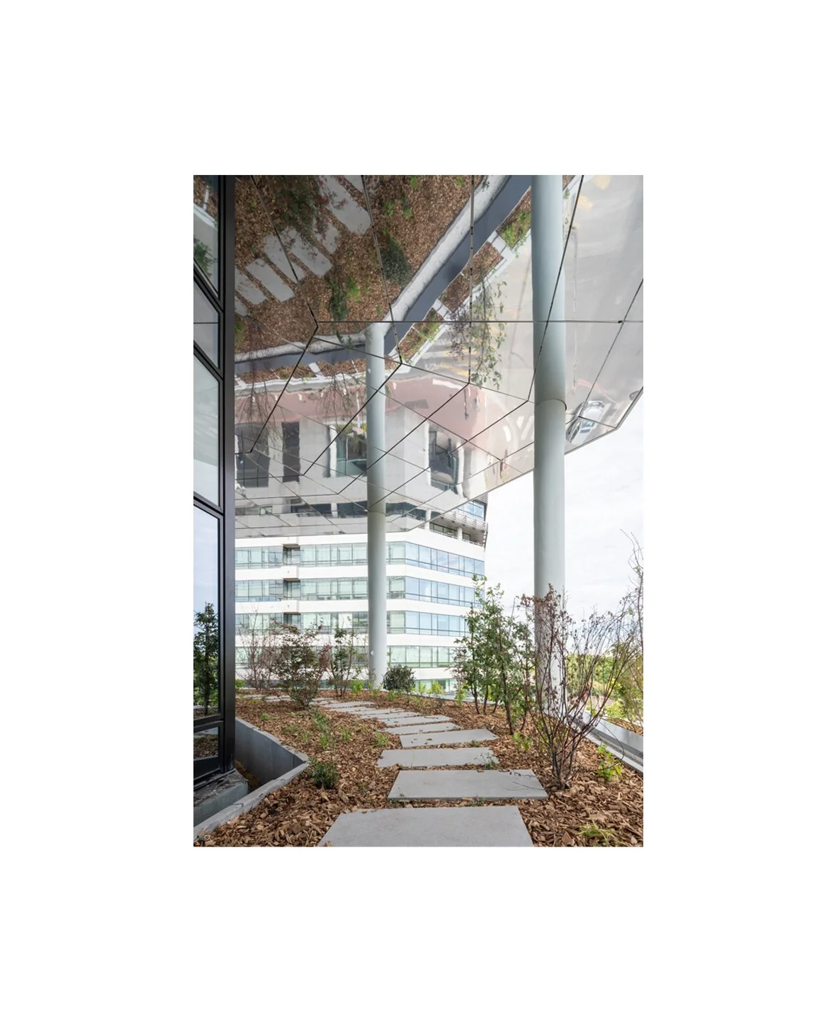 gravity verticale.jpg