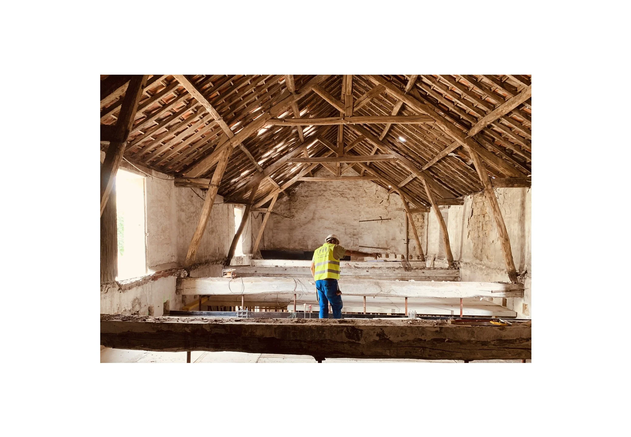 chantier bois marly.jpg