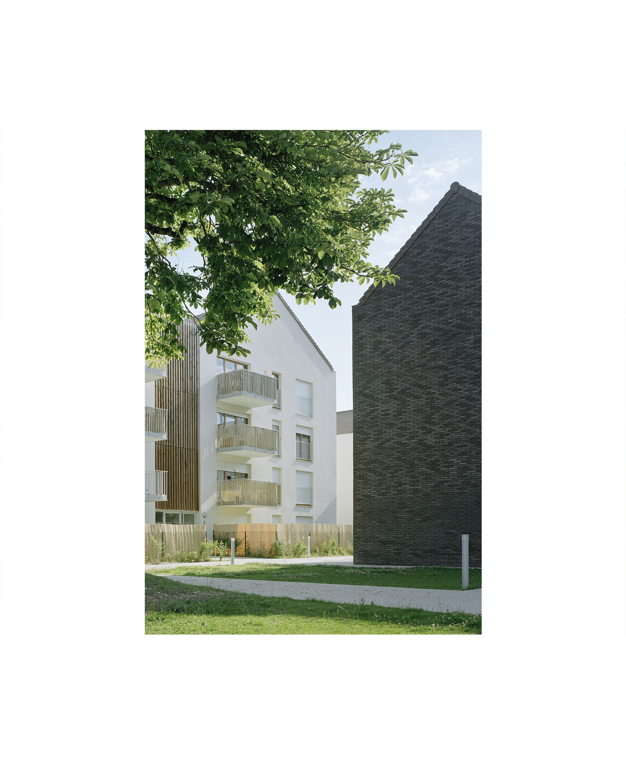 2026 IMAGE VRT 1.png