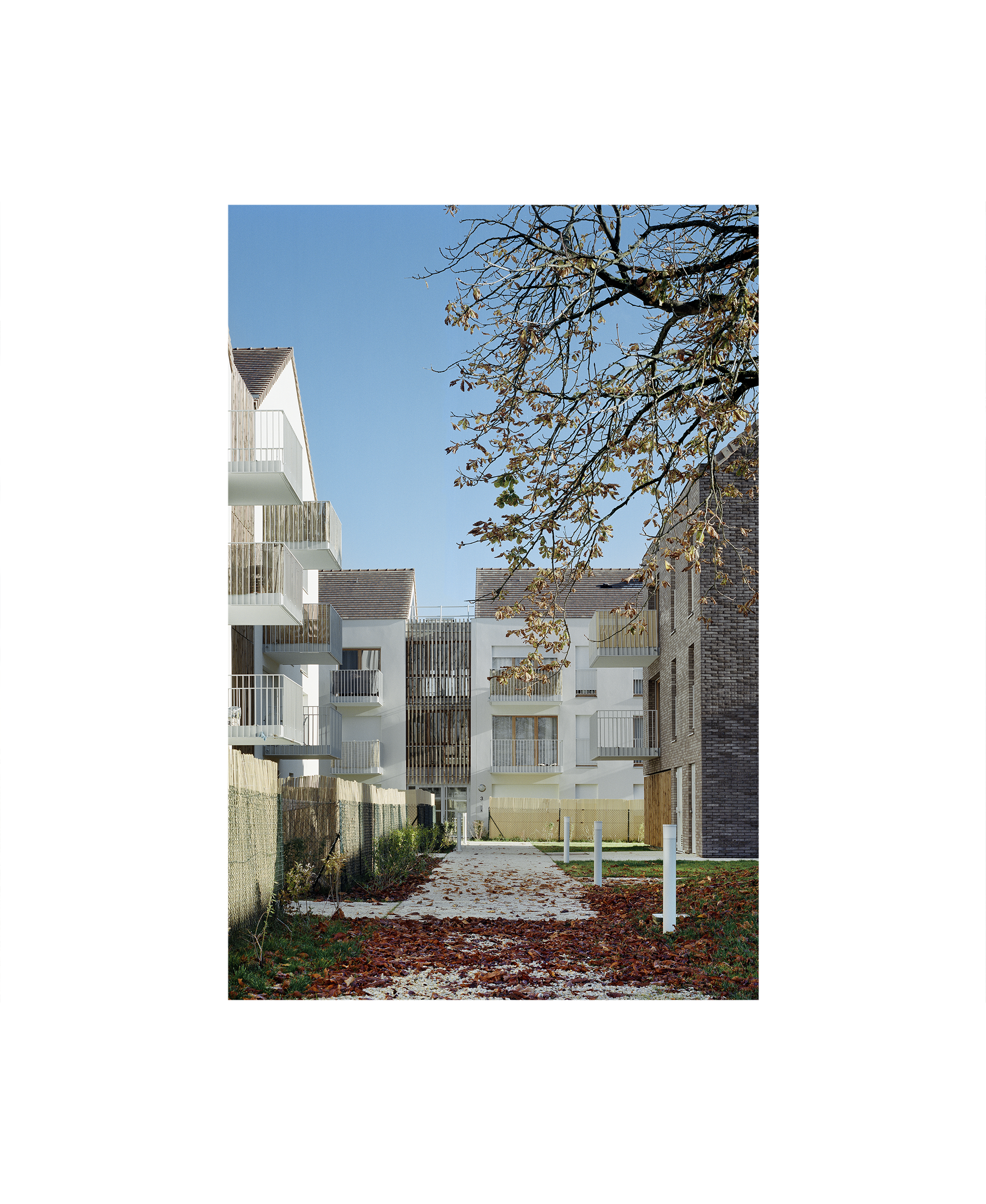 2026 IMAGE VRT 2.png