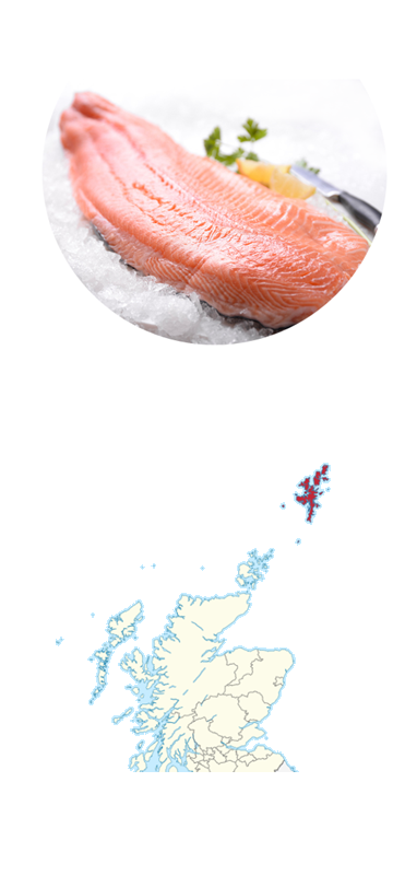 zalm.png