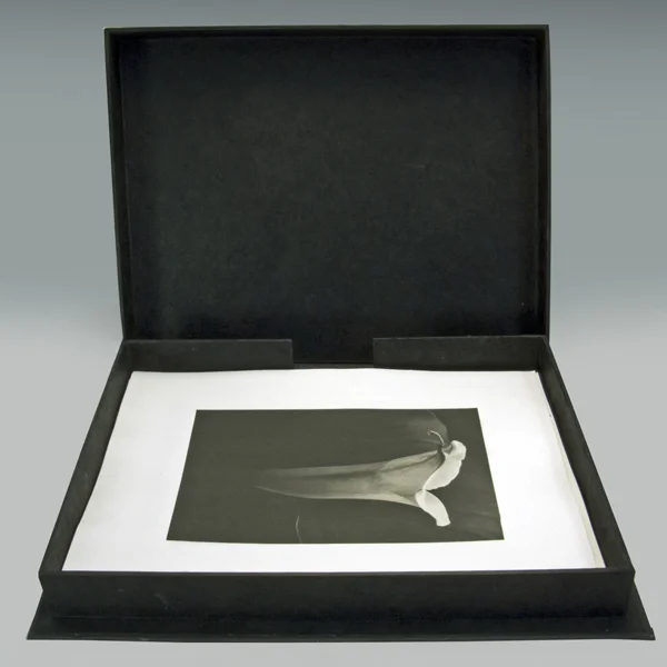 Boxes and Portfolios