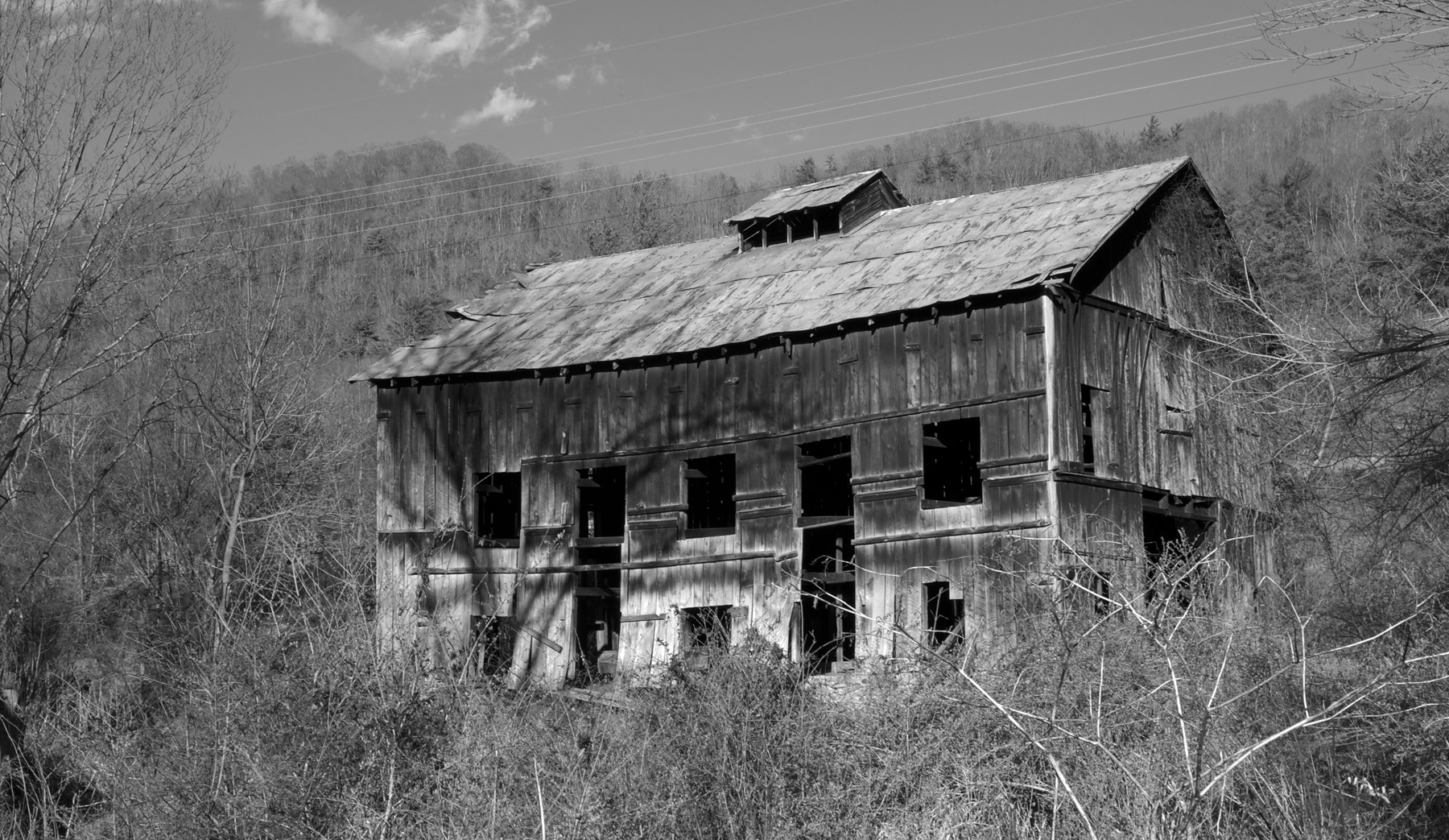 Carol-Lawrence-Old-barn-1.jpg